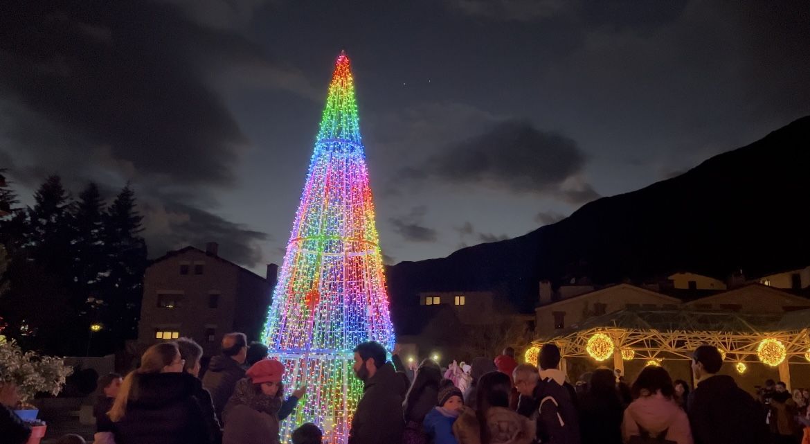 L’arbre de la plaça dels Arínsols il·luminat. L’arbre de la plaça dels Arínsols il·luminat.