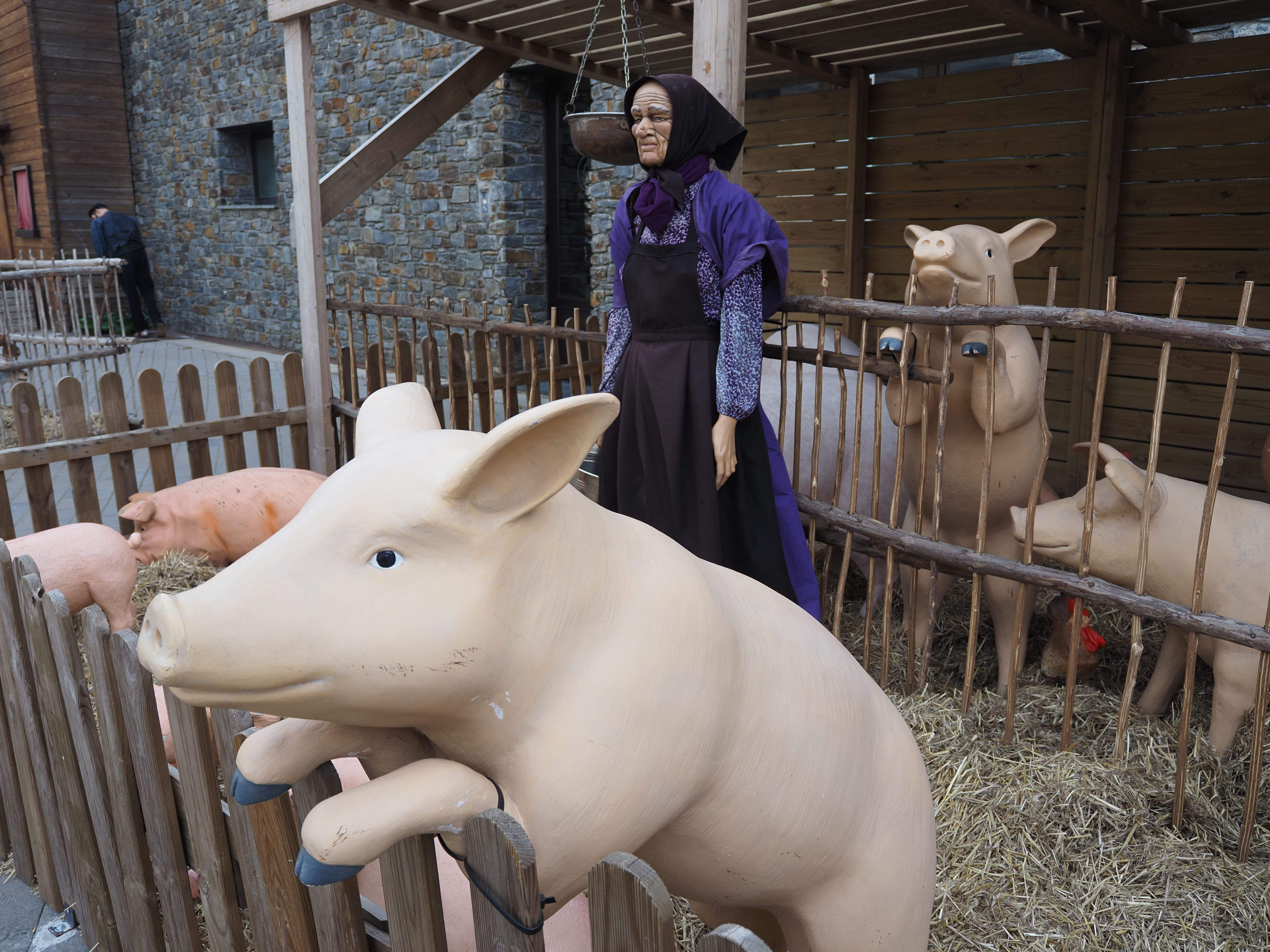 Una senyora en una cort de porcs. Una senyora en una cort de porcs.