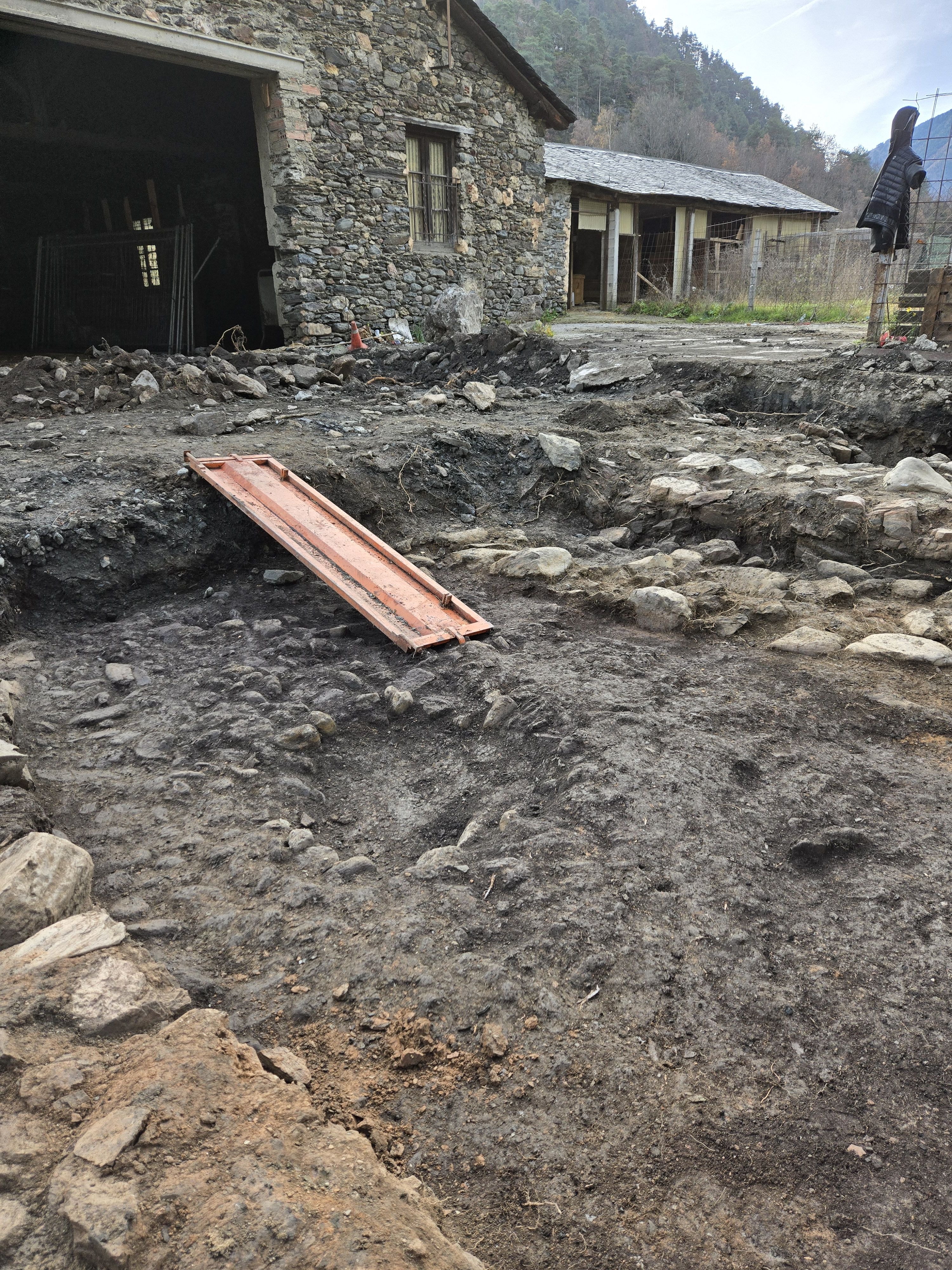 20241203 113944 20241203 113944