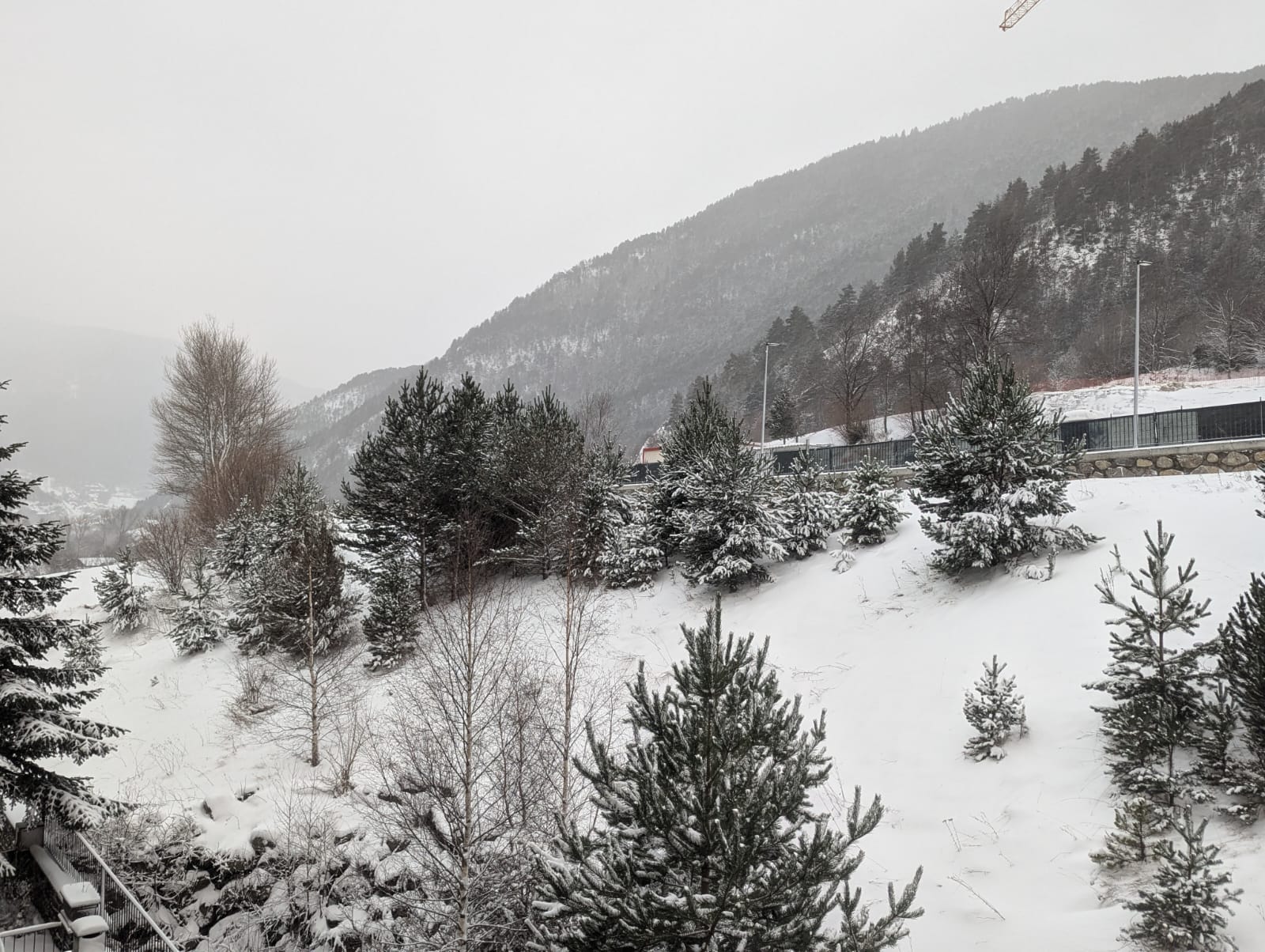 Una vista de la Cortinada aquest matí. Una vista de la Cortinada aquest matí.