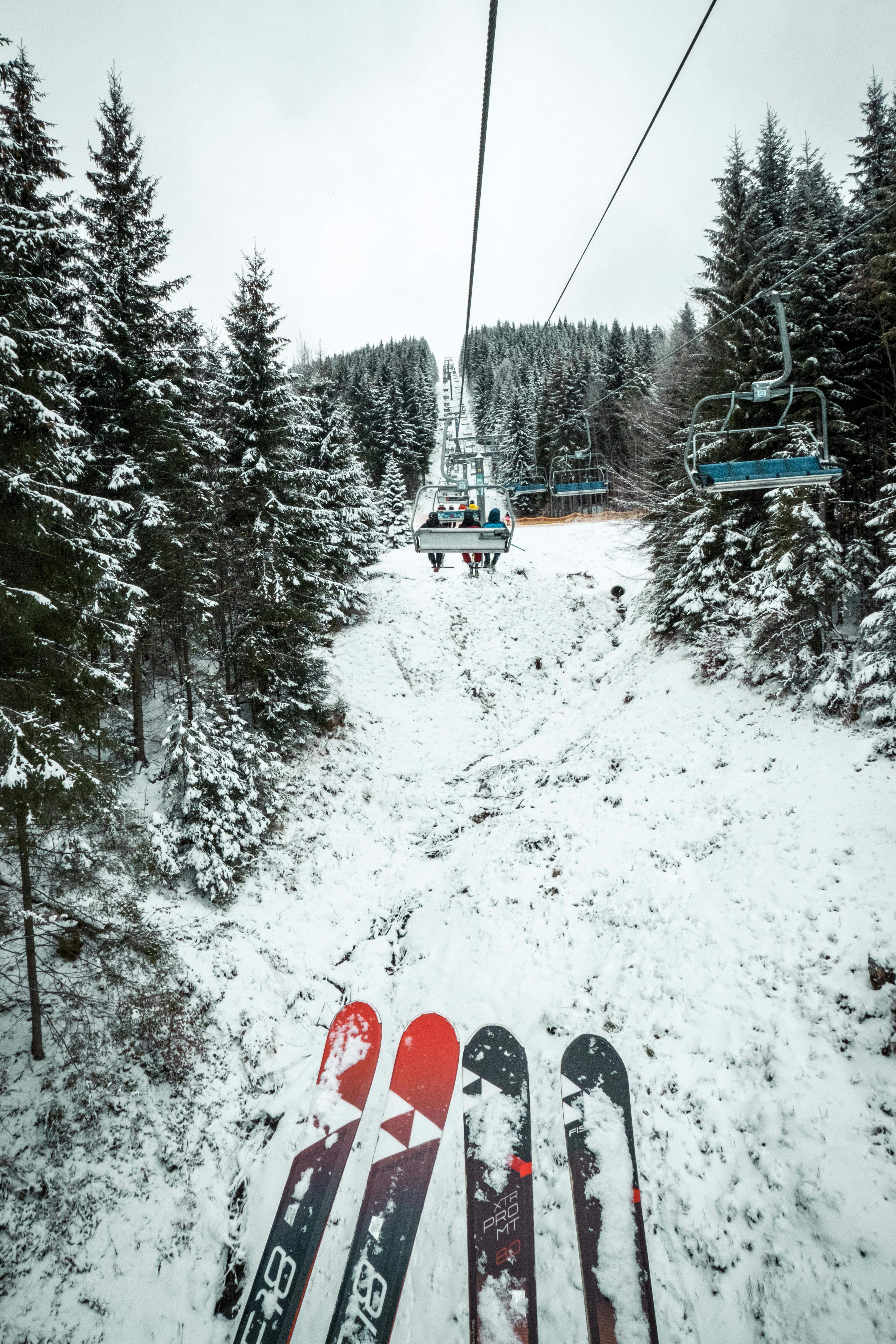 Dos parells d'esquís.