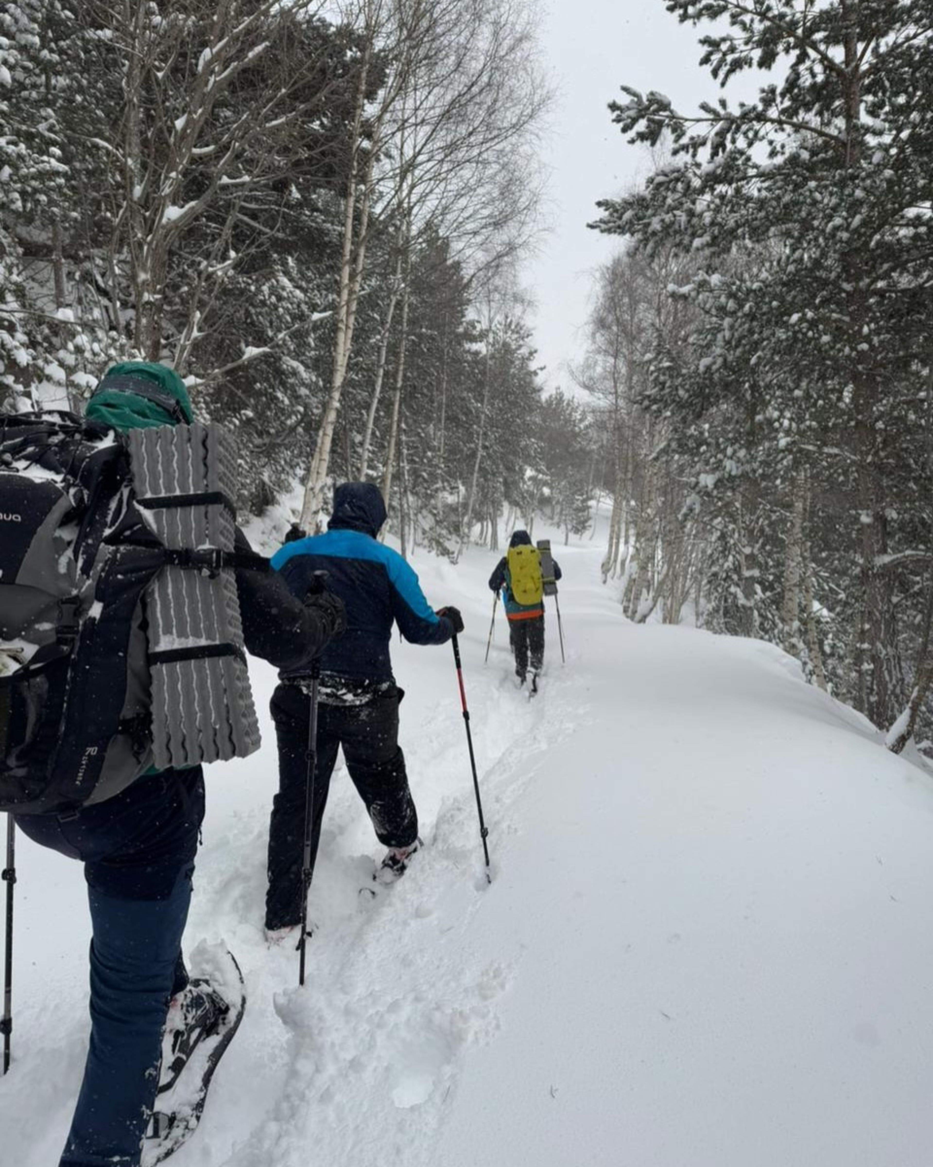 ( 23 12 24 )R E S C A T Avu (1) ( 23 12 24 )R E S C A T Avu (1)