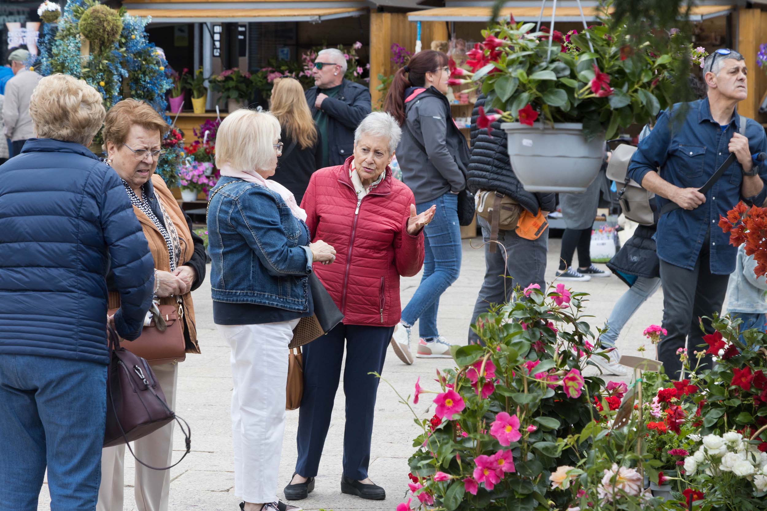 Una imatge de l'edició del 2024 de l'Andoflora.