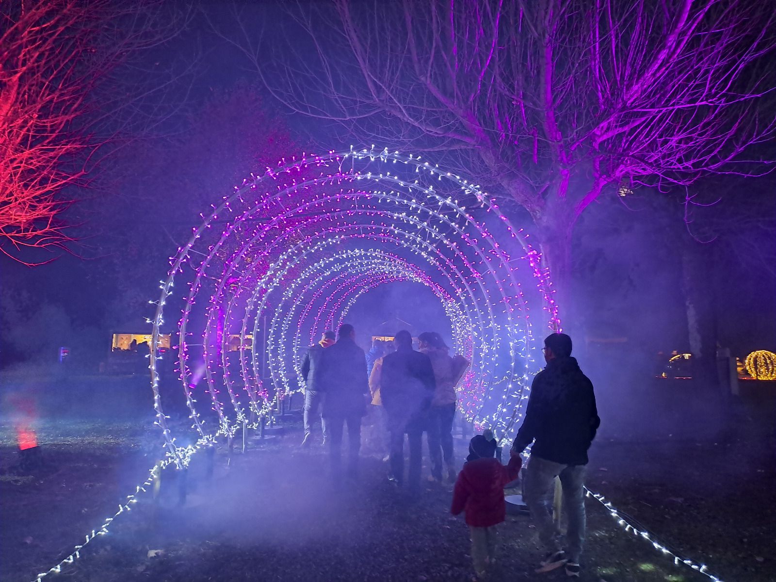 Túnel de llums del Canillo brilla.