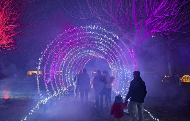 Túnel de llums del Canillo brilla. Túnel de llums del Canillo brilla.