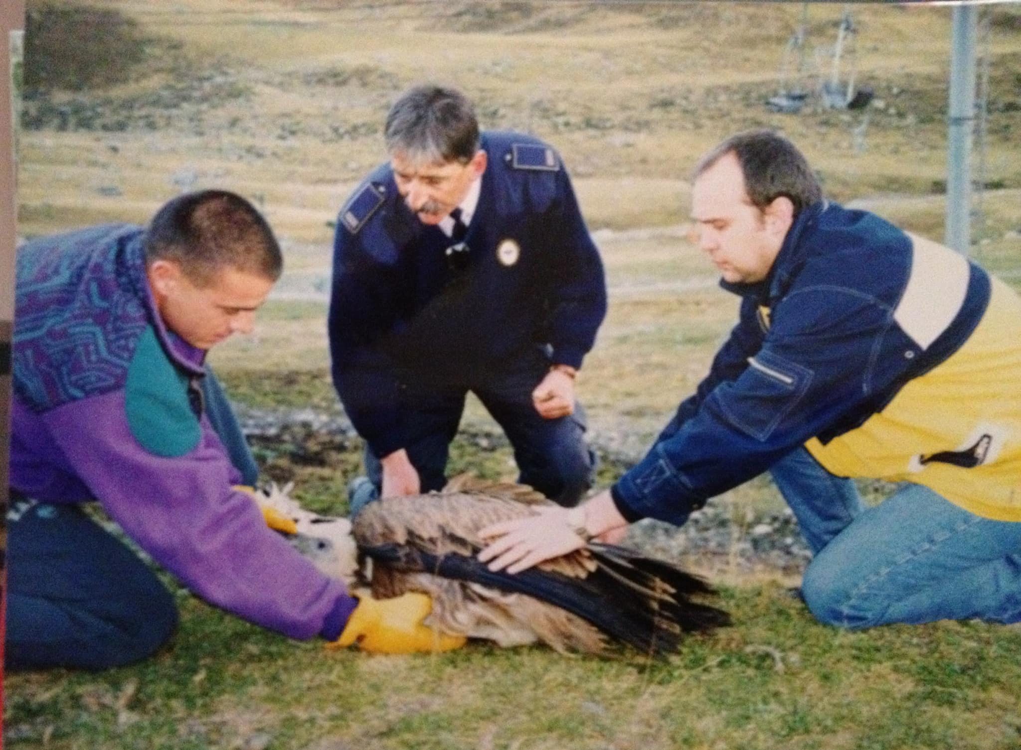 joan martínez segura urbano joan martínez segura urbano