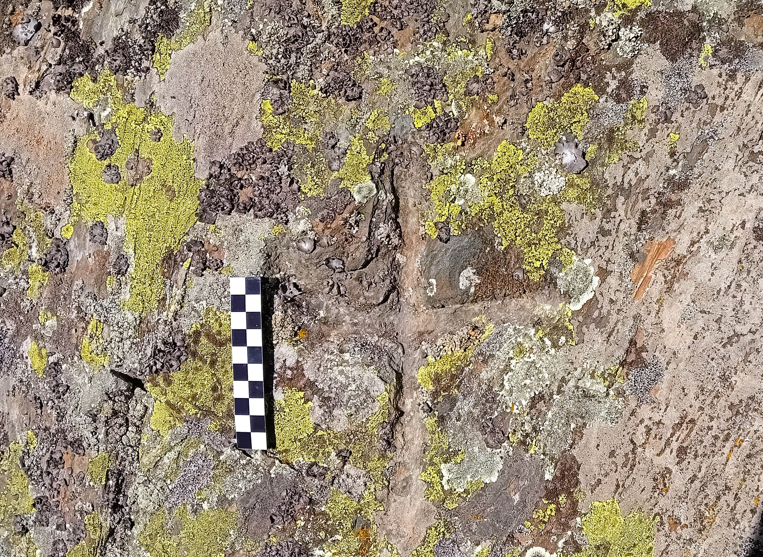 Localitzat un gravat rupestre d’una creu de terme antiga.