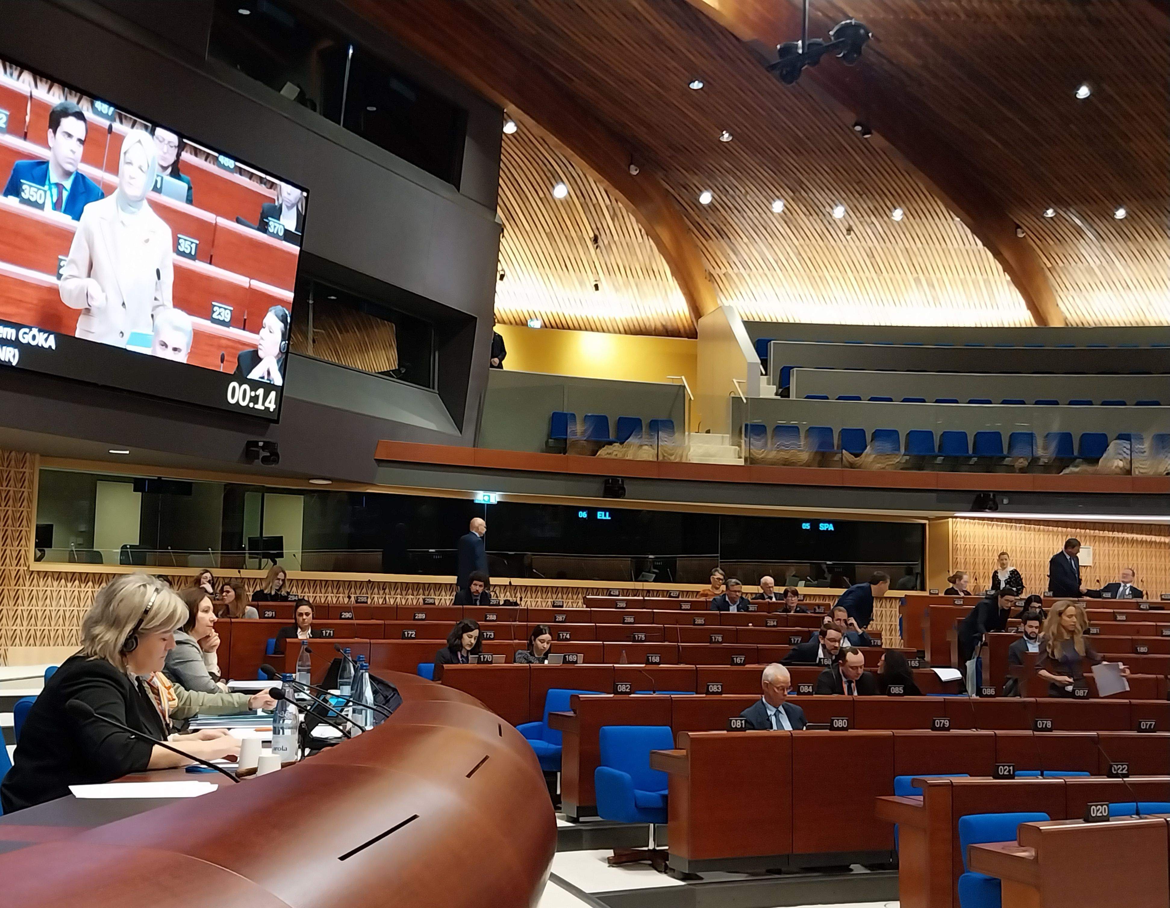 Berna Coma durant la sessió plenària d'hivern.