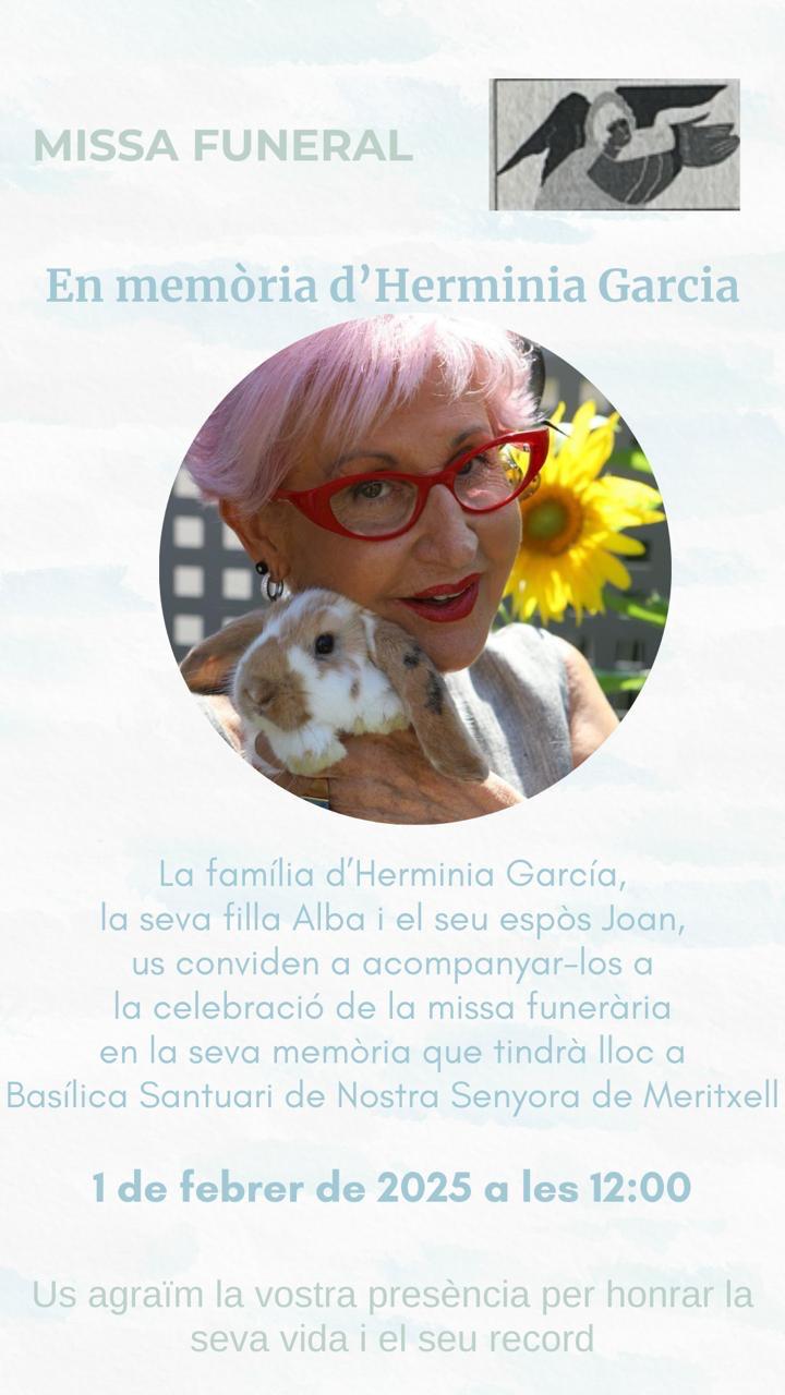 WhatsApp Image 2025 01 30 at 12.42.17