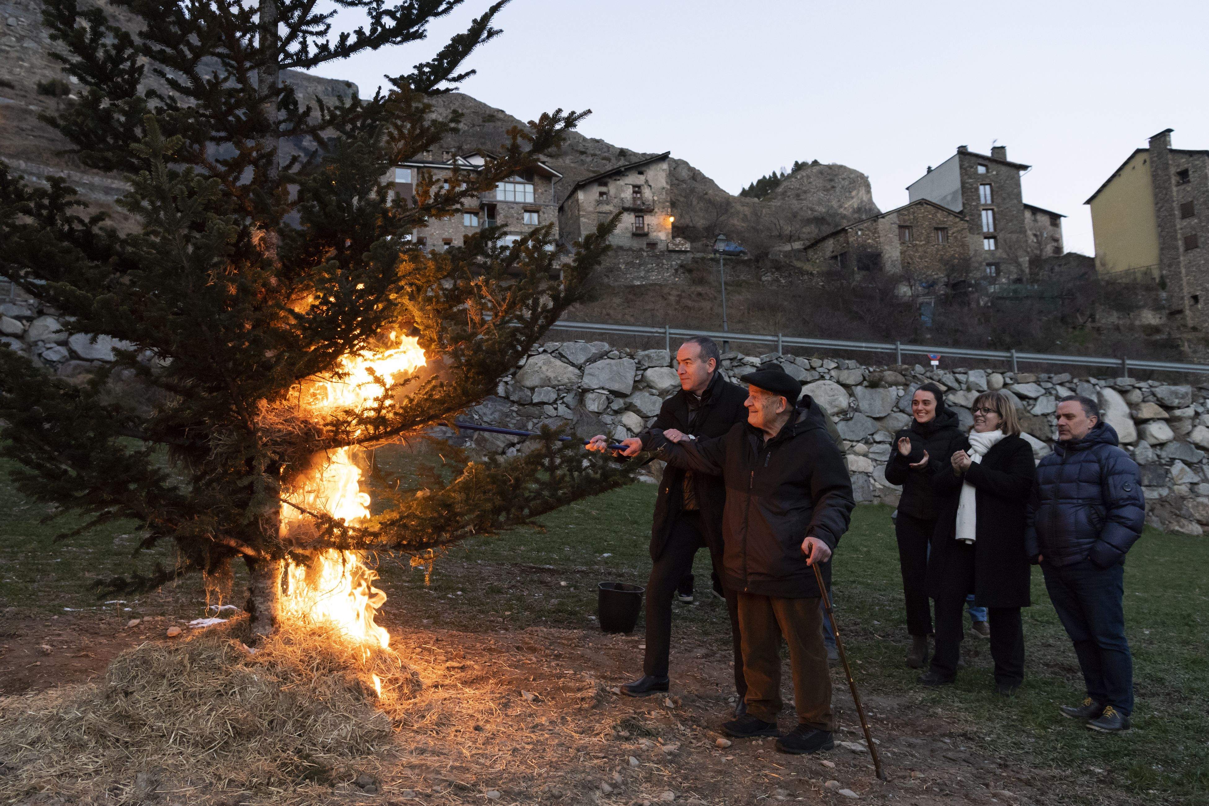 L'equip comunal contempla la crema de l'arbre.