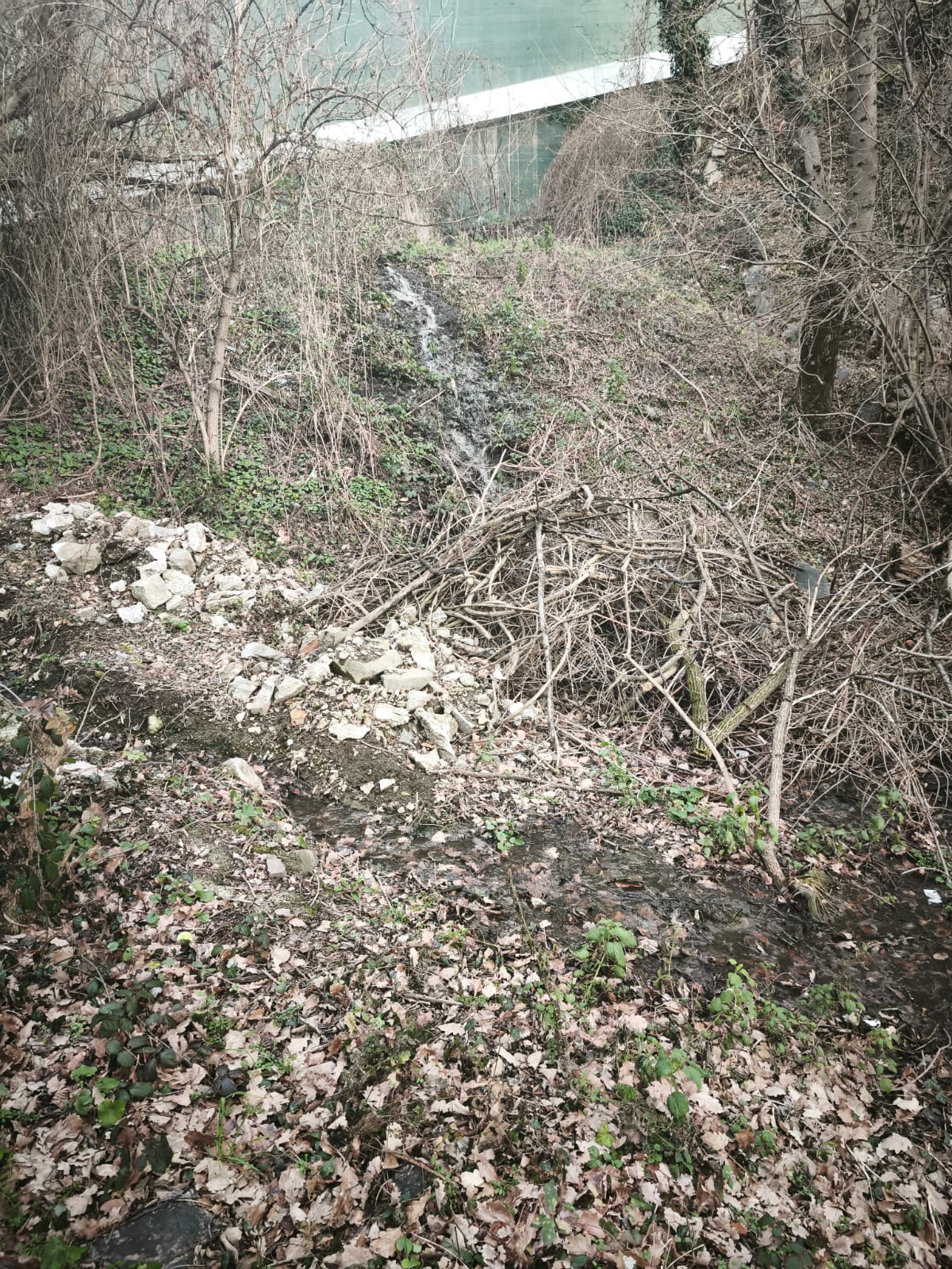 Una imatge de la filtració.