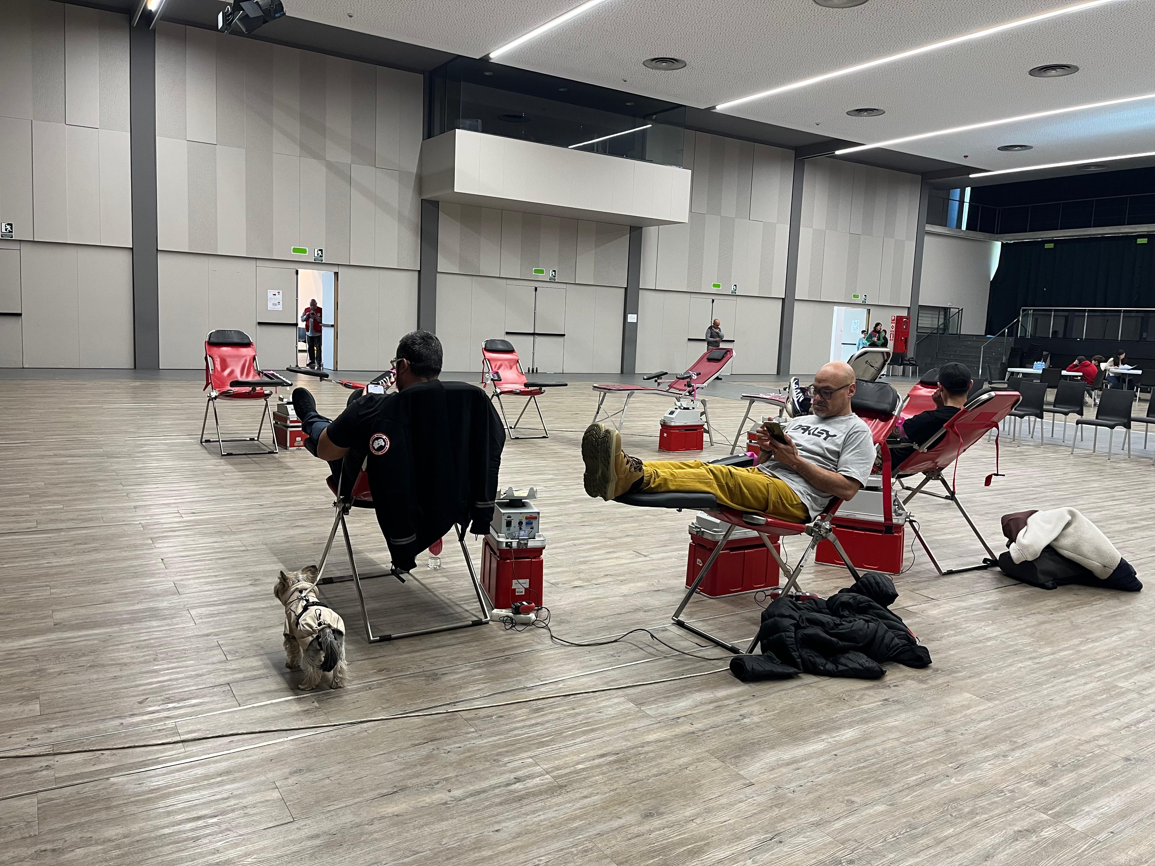 Donants de sang en la campanya de l'Escola Andorrana.