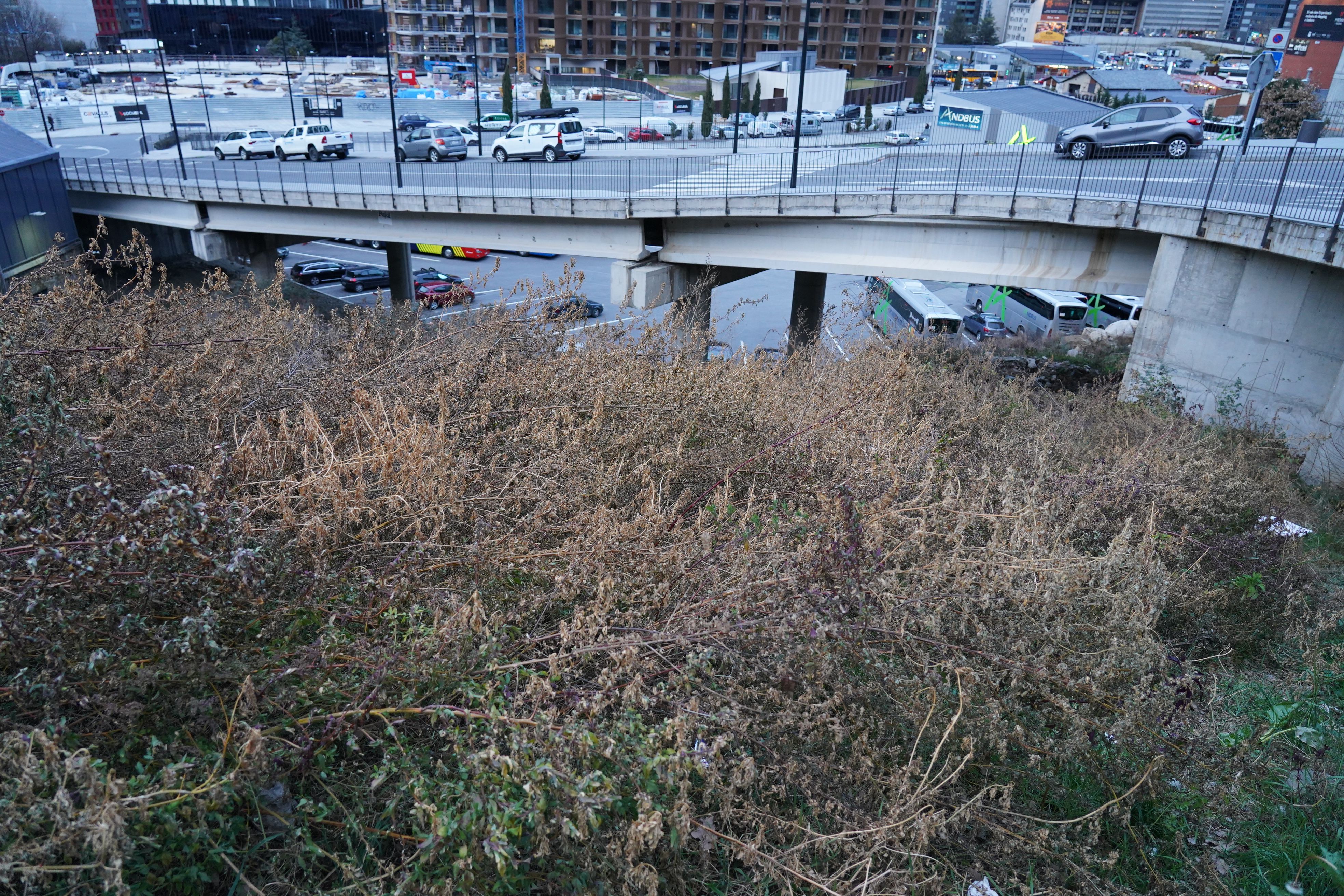 Vista de la parcel·la on es vol construir el bloc de pisos a la zona de Terra Vella. Vista de la parcel·la on es vol construir el bloc de pisos a la zona de Terra Vella.