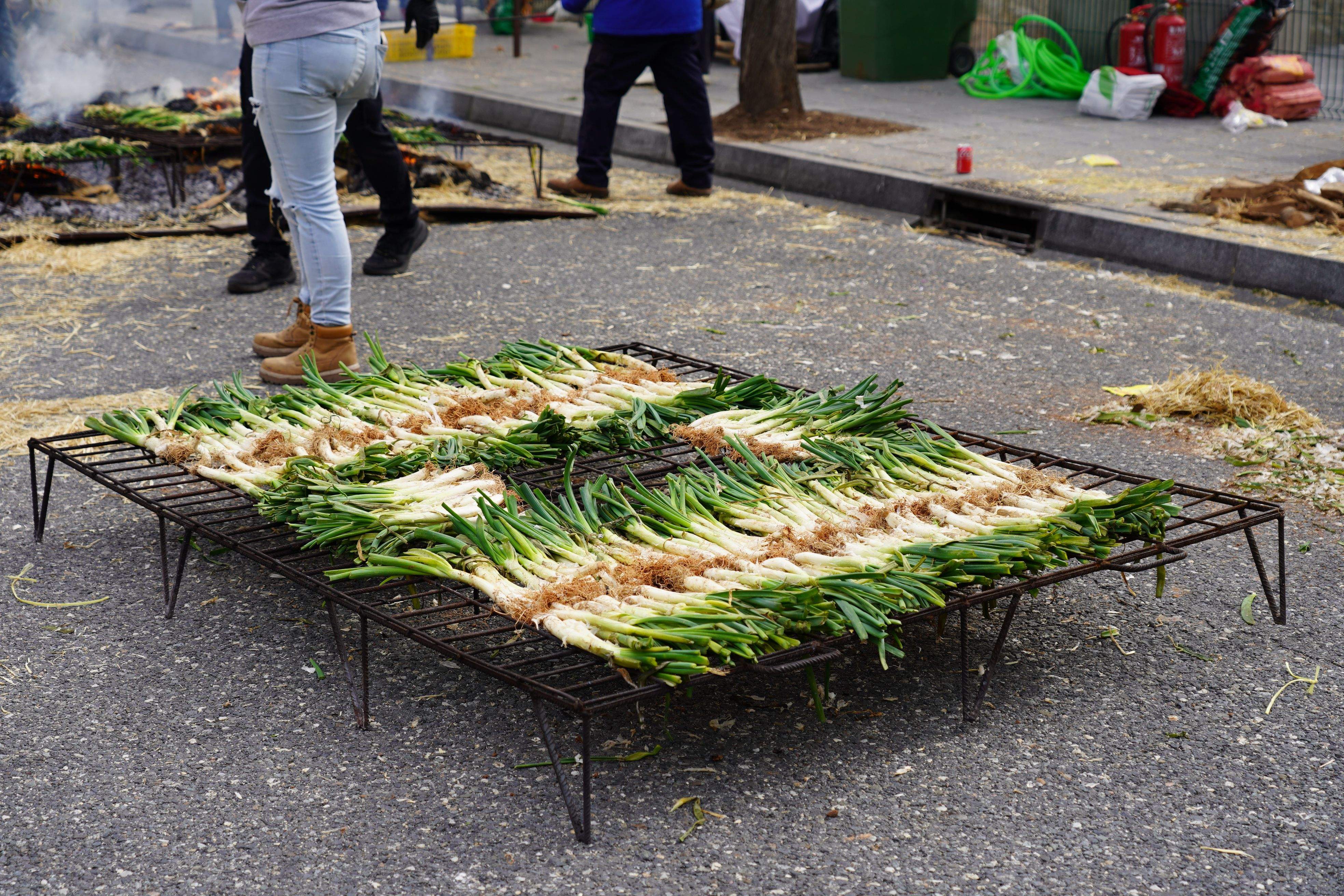 Calçots a punt de coure'ls.
