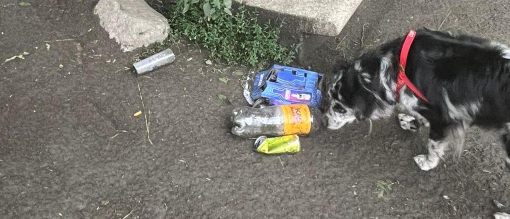 WhatsApp Image 2025 03 03 at 10.23.47 (1)