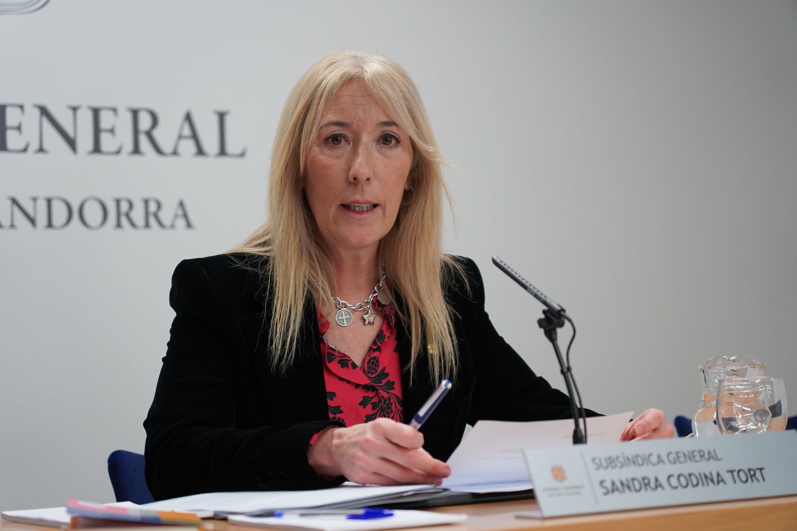 La subsíndica, Sandra Codina, durant la compareixença d'aquesta tarda.