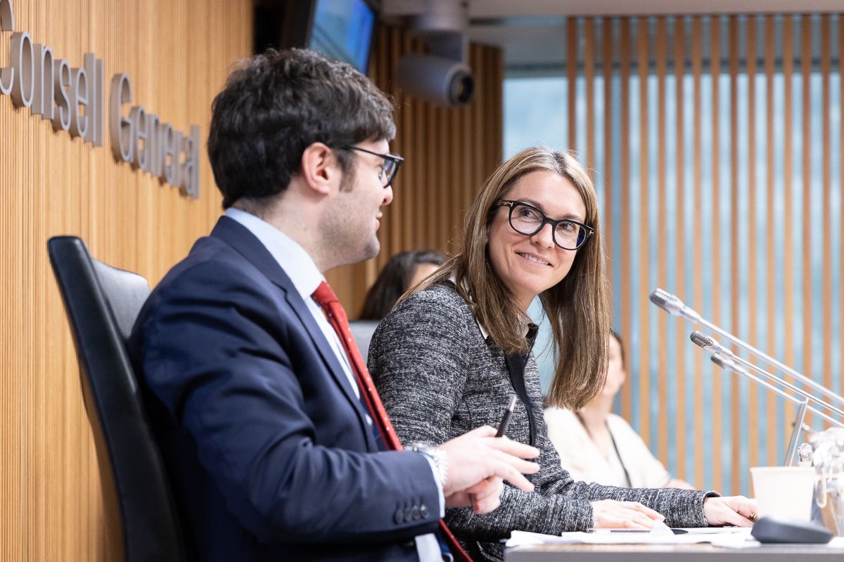 Mesas i Davan han representat el Col·legi davant la comissió.