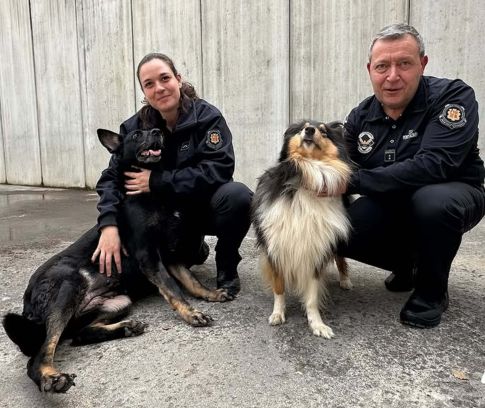 Snapinst.app 484288239 178936792