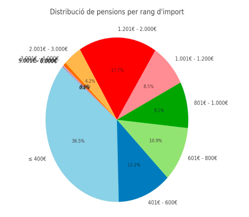 Distribució de pensions La portaveu del Sindicat, Rebeca Bonache.