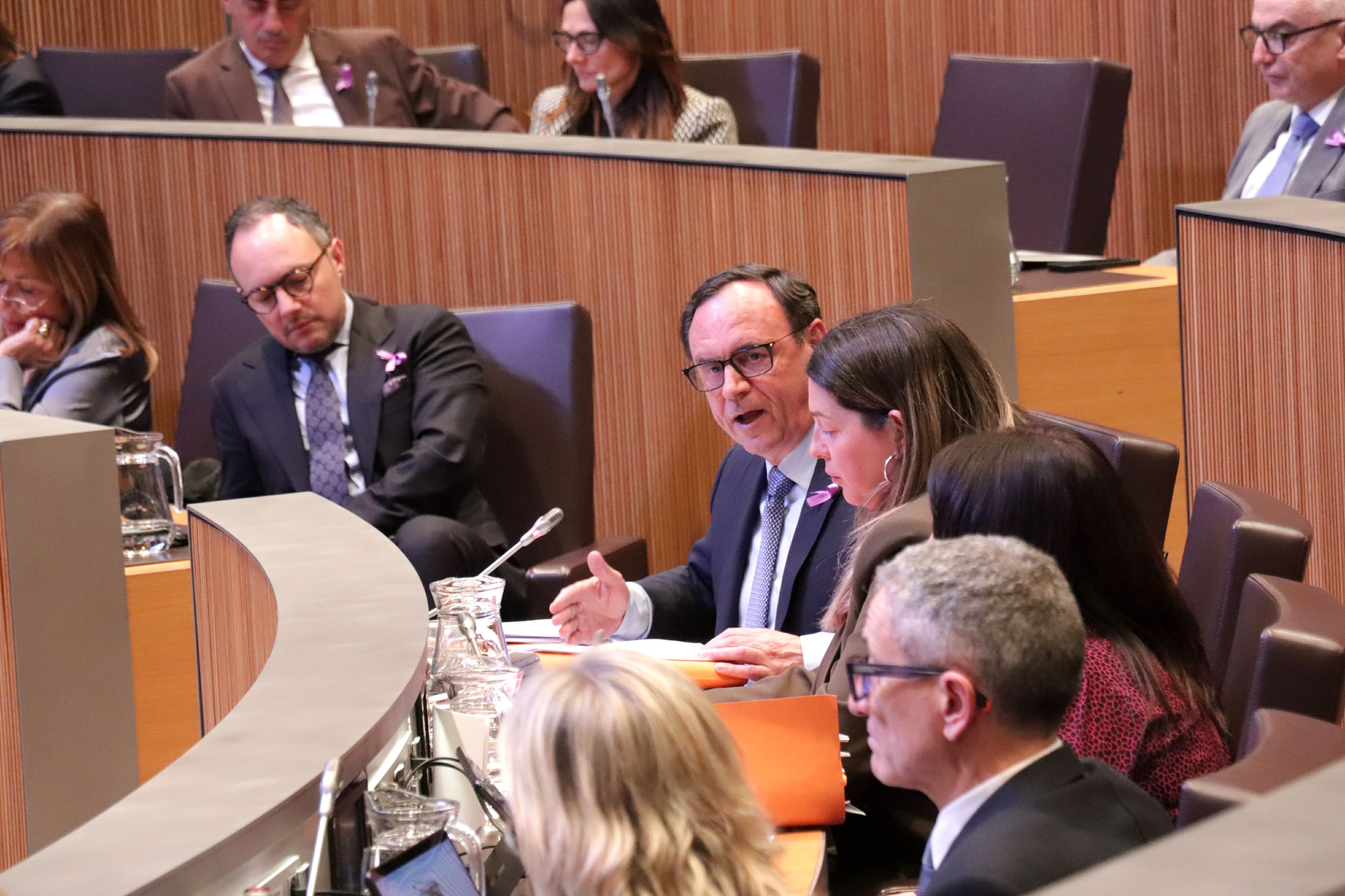 Membres del grup parlamentari demòcrata en una sessió de Consell General.