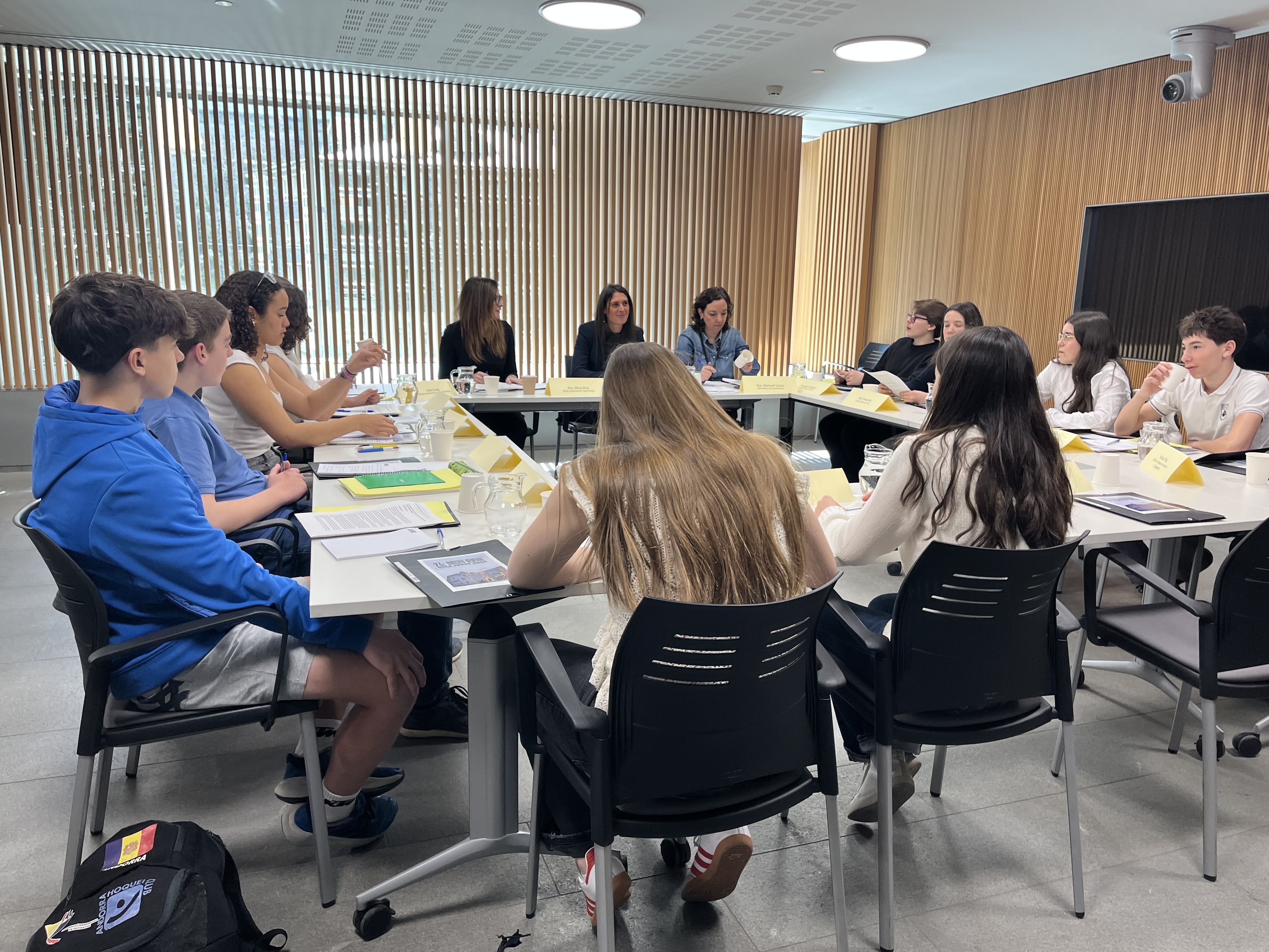 Una de les comissions legislatives del Consell dels Joves.