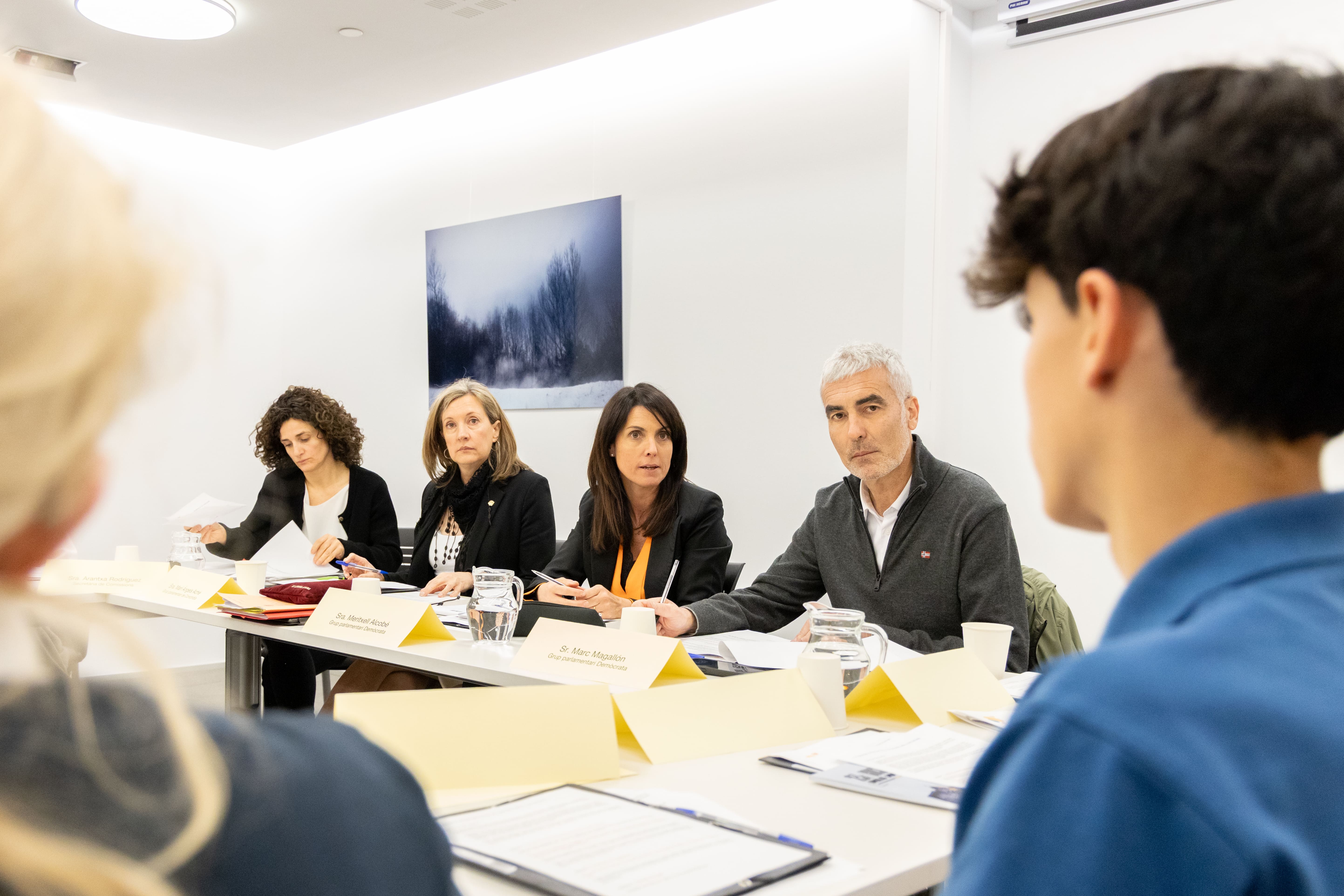 Una de les comissions formades pel 23è Consell General dels Joves.