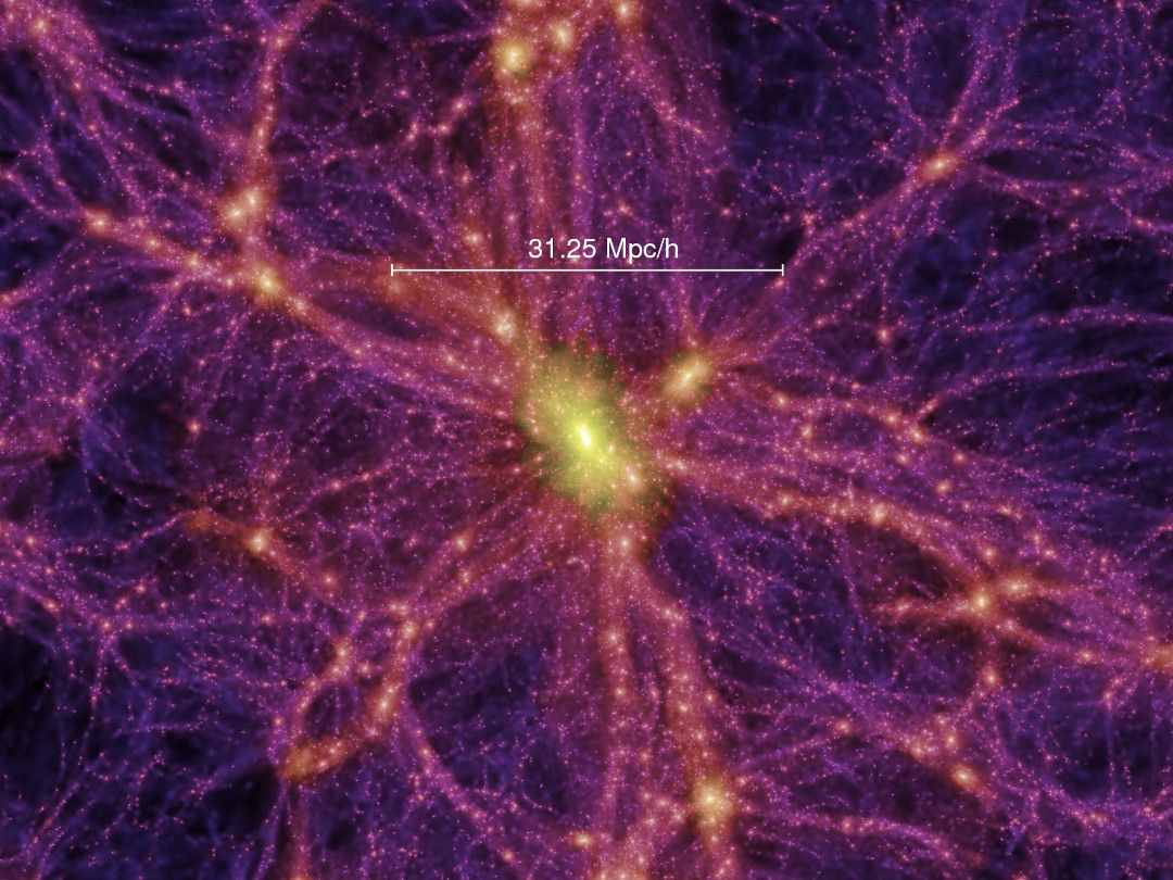 Imatge de l'Univers actual a gran escala produïda pel Millenium Simulation project que reprodueix acuradament les observacions - Crèdit: Springel et al. (2005) | MPA La portaveu del Sindicat, Rebeca Bonache.