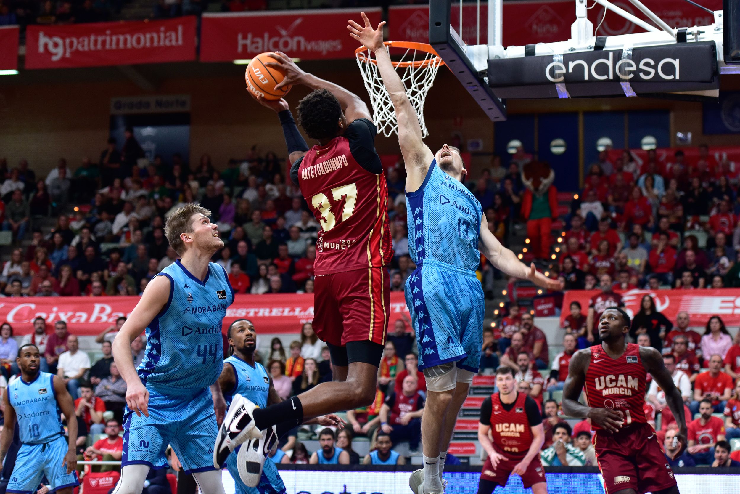 Kostas Antetokounmpo, el darrer fitxatge de l'UCAM, ha castigat a l'Andorra al segon quart.