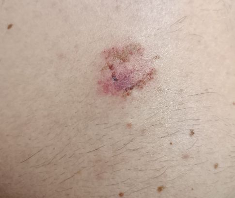 WhatsApp Image 2025 04 08 at 12.02.48 (1)