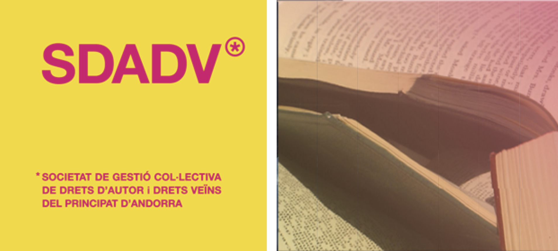 Un rètol de la pàgina web de l'SDADV.