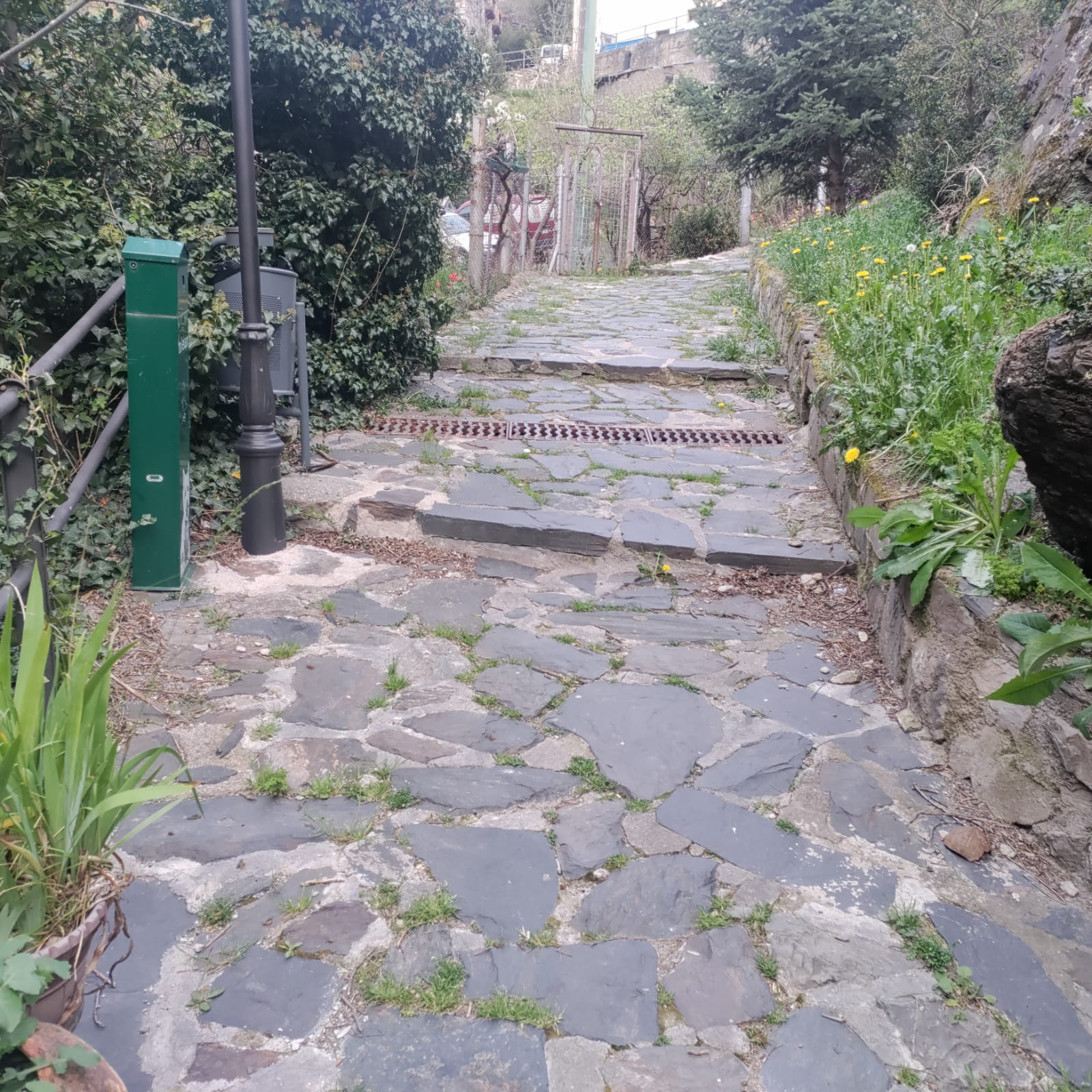 Passat l'aparcament, el camí està en força bones condicions. Passat l'aparcament, el camí està en força bones condicions.