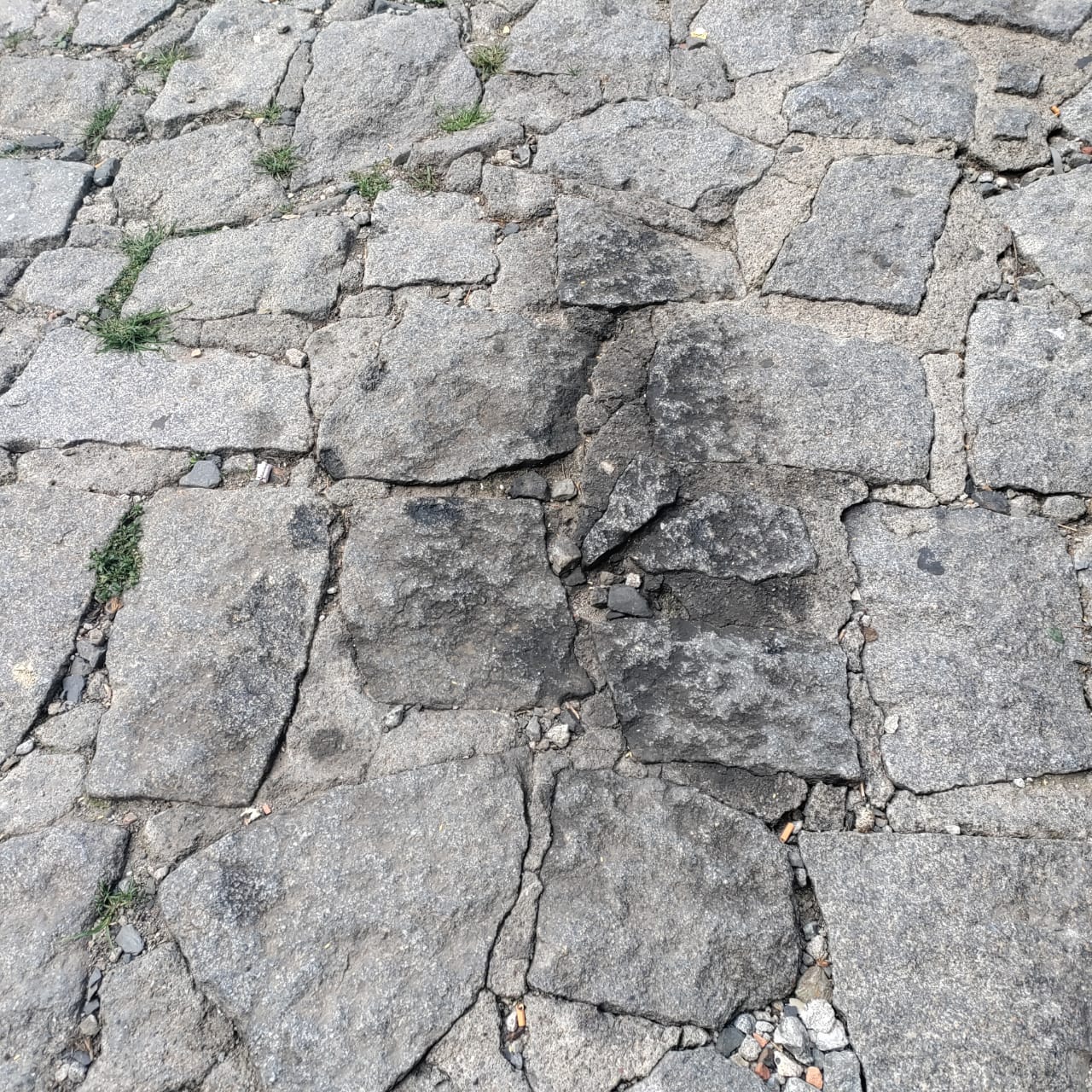 La part del camí que és més a prop de Rocacorba és la que presenta més deficiències. La part del camí que és més a prop de Rocacorba és la que presenta més deficiències.