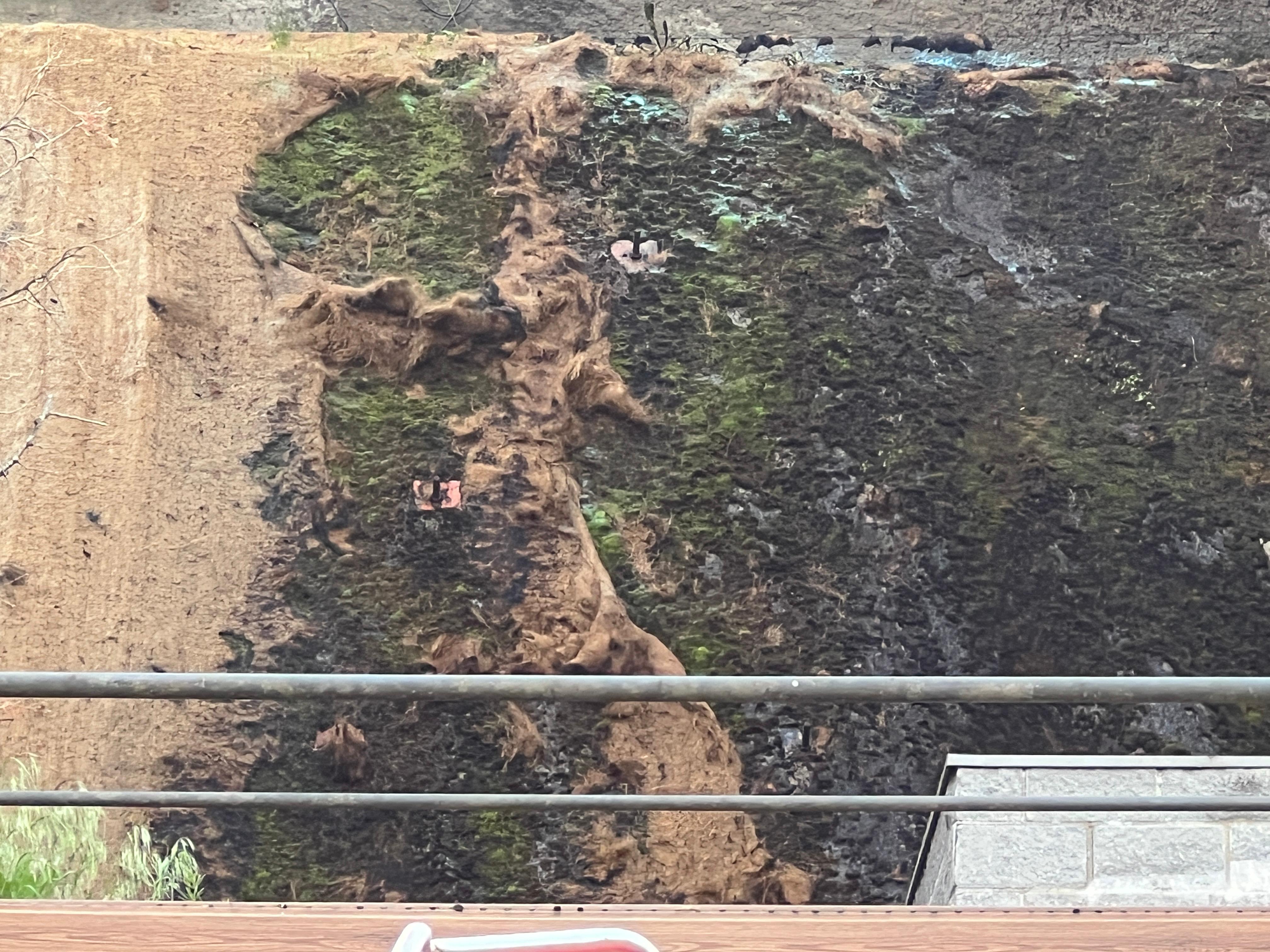 La zona cremada. La zona cremada.