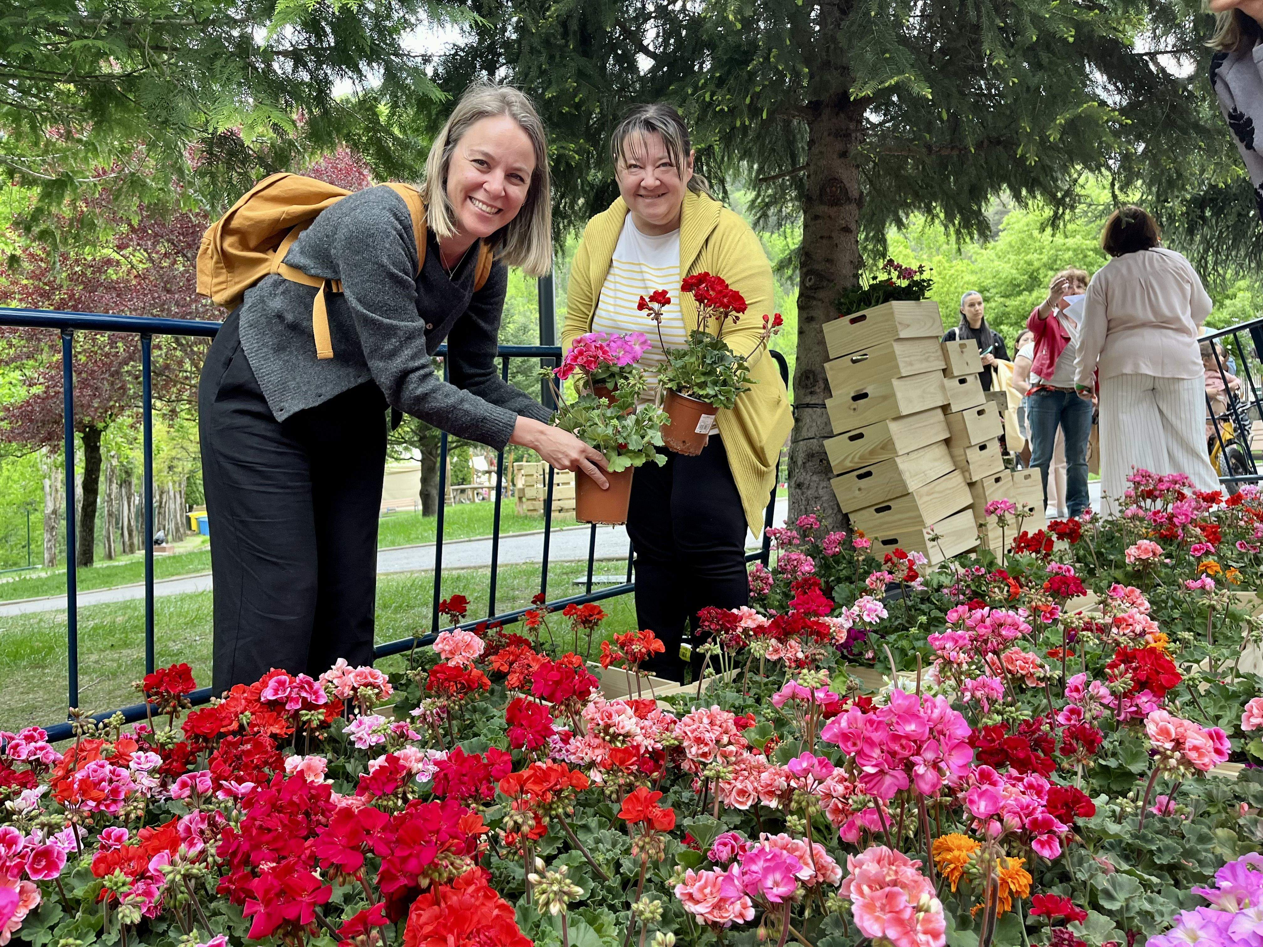 Recollida de flors a Andoflora. // Comú de la Massana Recollida de flors a Andoflora. // Comú de la Massana