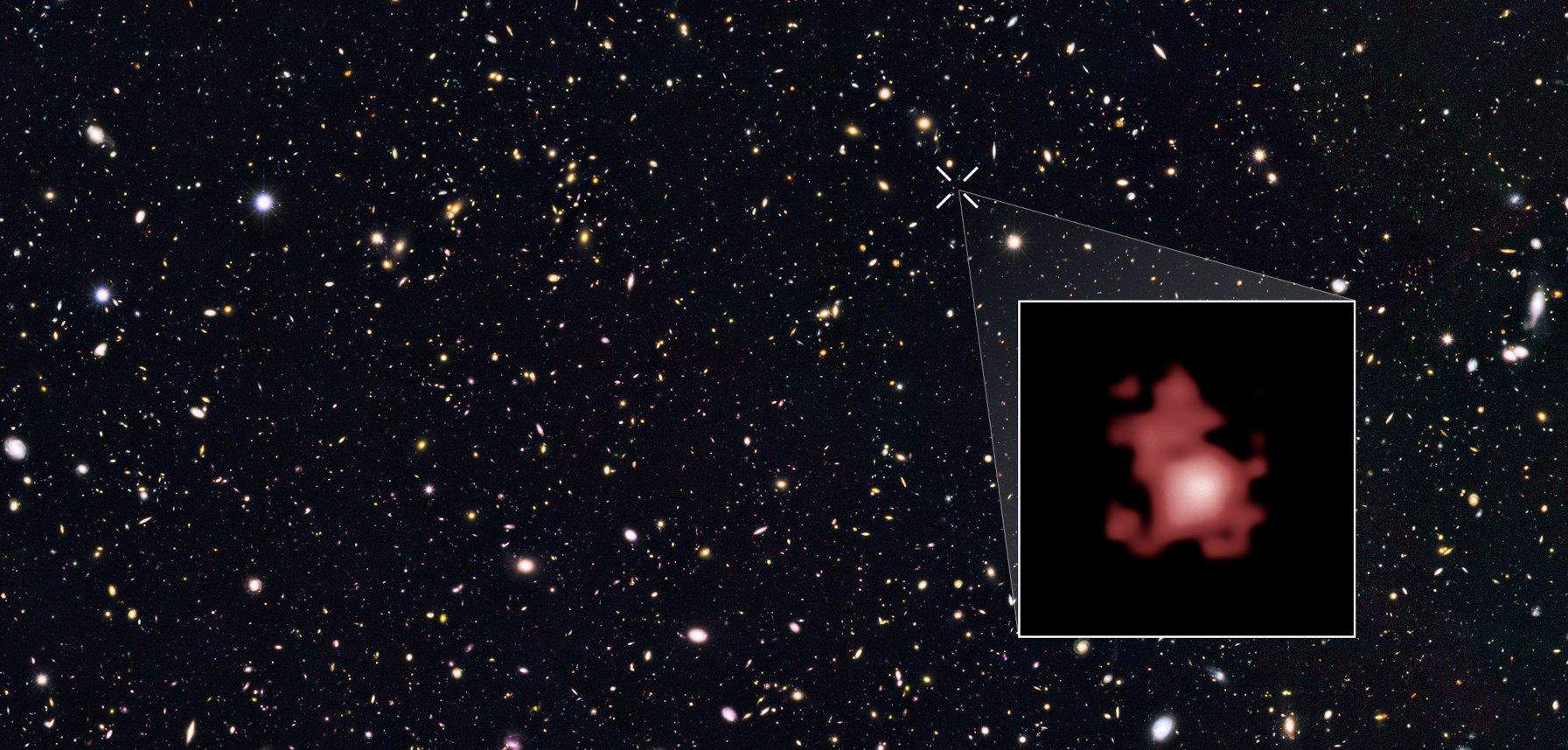 Zoom sobre la galàxia GN-z11 en el camp del Goods Nord - Crèdit: NASA, ESA, P. Oesch La portaveu del Sindicat, Rebeca Bonache.