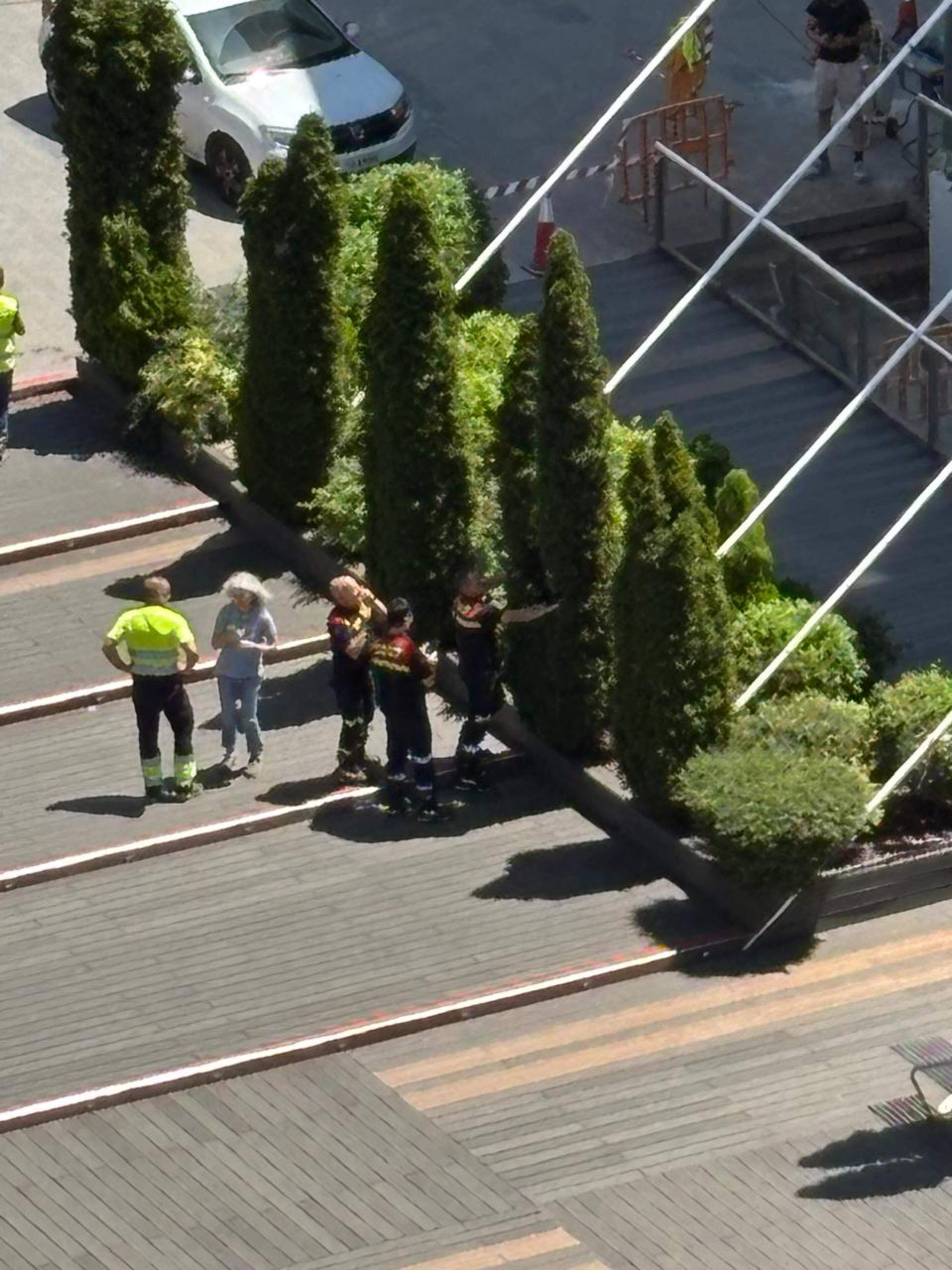 Els bombers actuant al pont de la Rotonda.