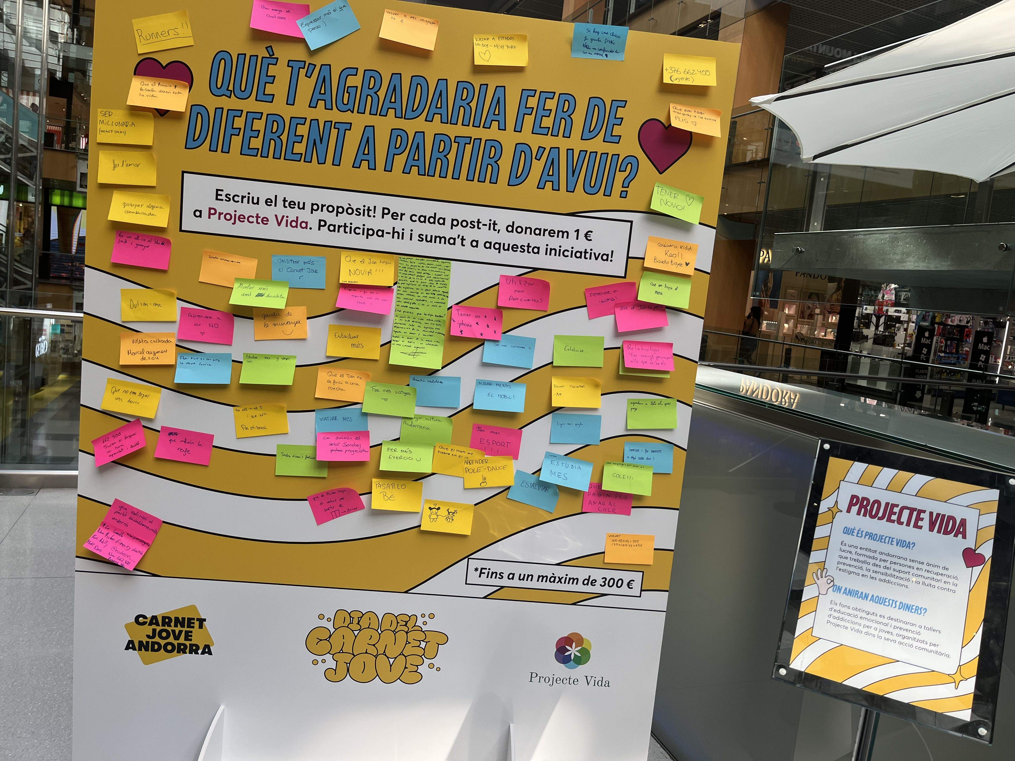 Els post-its solidaris a favor de Projecte Vida. La portaveu del Sindicat, Rebeca Bonache.