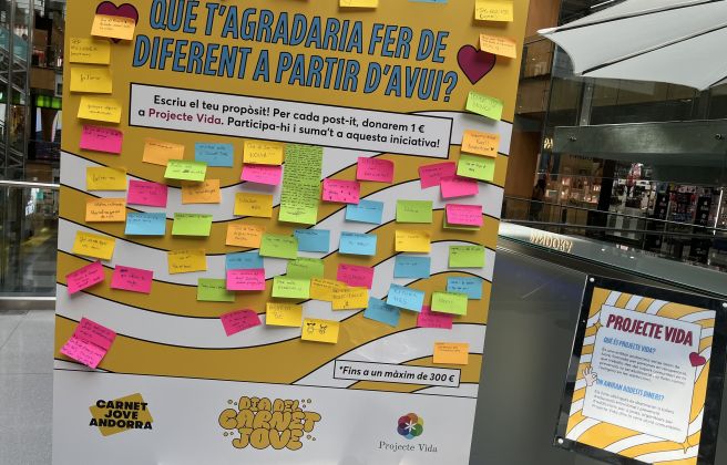Els post-its solidaris a favor de Projecte Vida. Els post-its solidaris a favor de Projecte Vida.