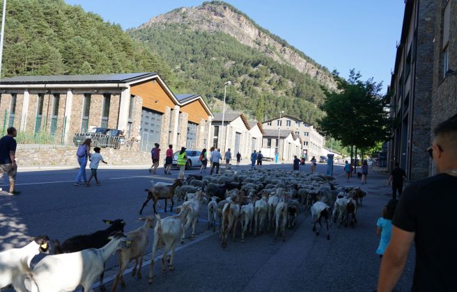 Una trentena de persones s'han sumat al trajecte. Una trentena de persones s'han sumat al trajecte.