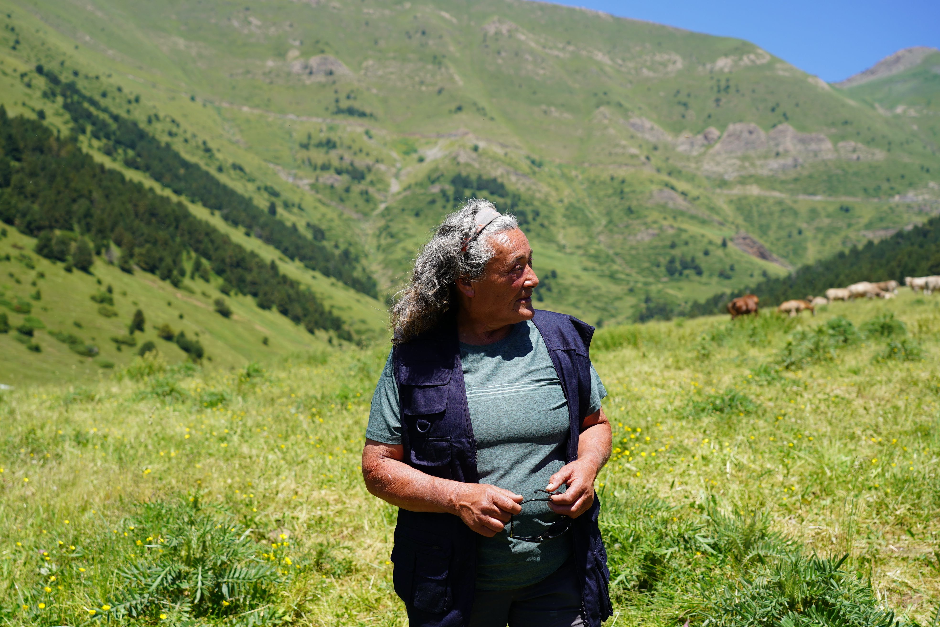 La Rosa, la vaquera de Setúria. La Rosa, la vaquera de Setúria.