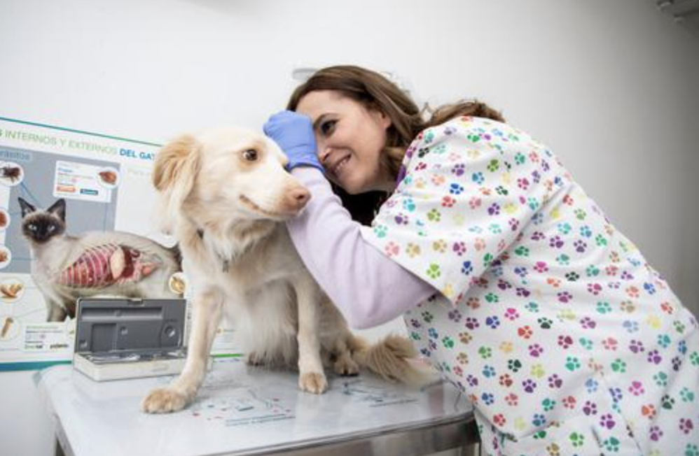 Jael Pozo 2 Jael Pozo 2