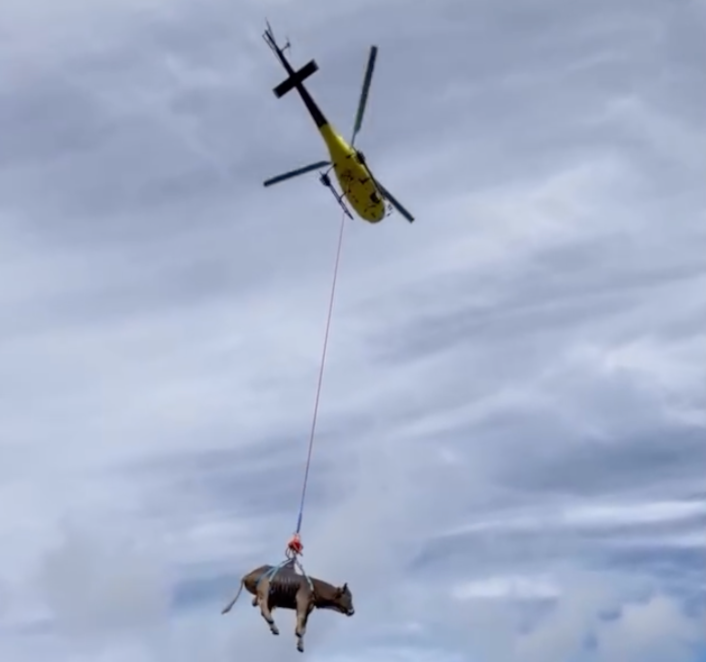 Captura de pantalla 2025 07 24 a les 13.38.45 Captura de pantalla 2025 07 24 a les 13.38.45