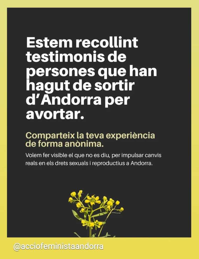 WhatsApp Image 2025 07 28 at 16.21.30 (1)