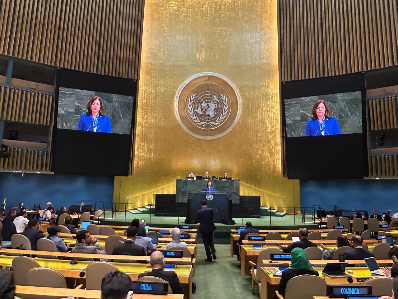 20250729 Conferència ministres Afers Exteriors ONU 4 20250729 Conferència ministres Afers Exteriors ONU 4