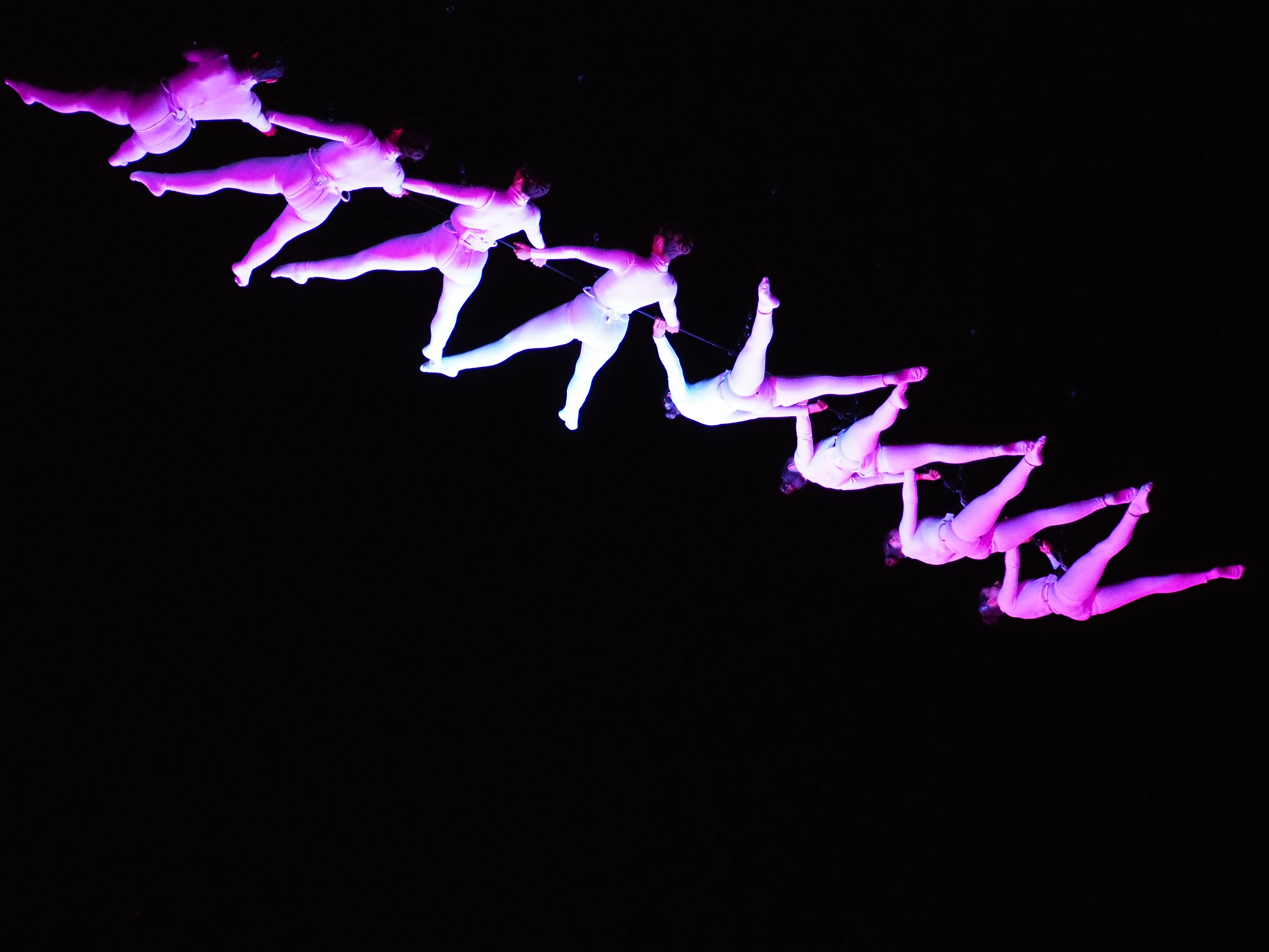 Les dansaires acrobàtiques han fet mil i una formes i colors.