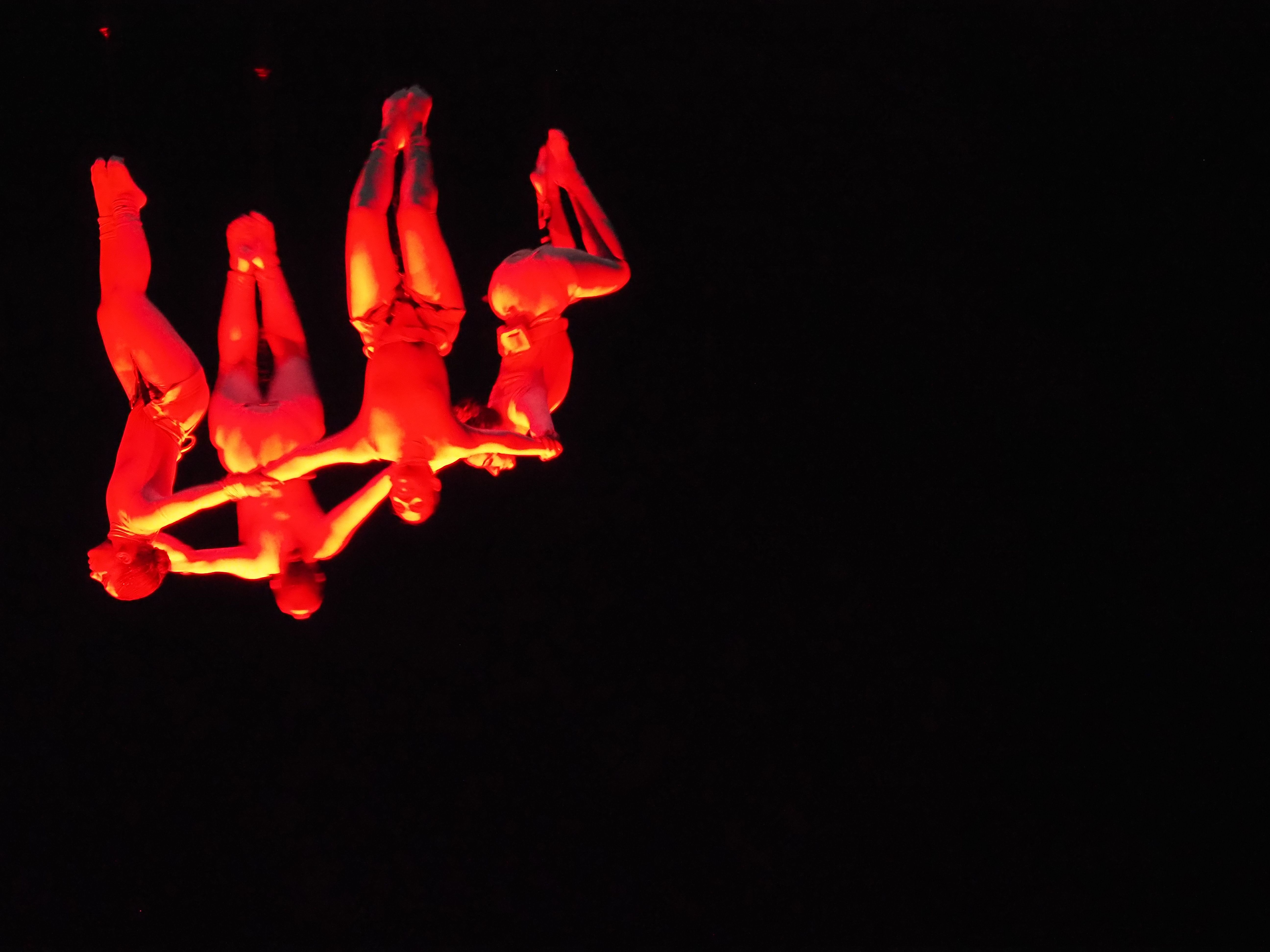  Les dansaires acrobàtiques han fet mil i una formes i colors.