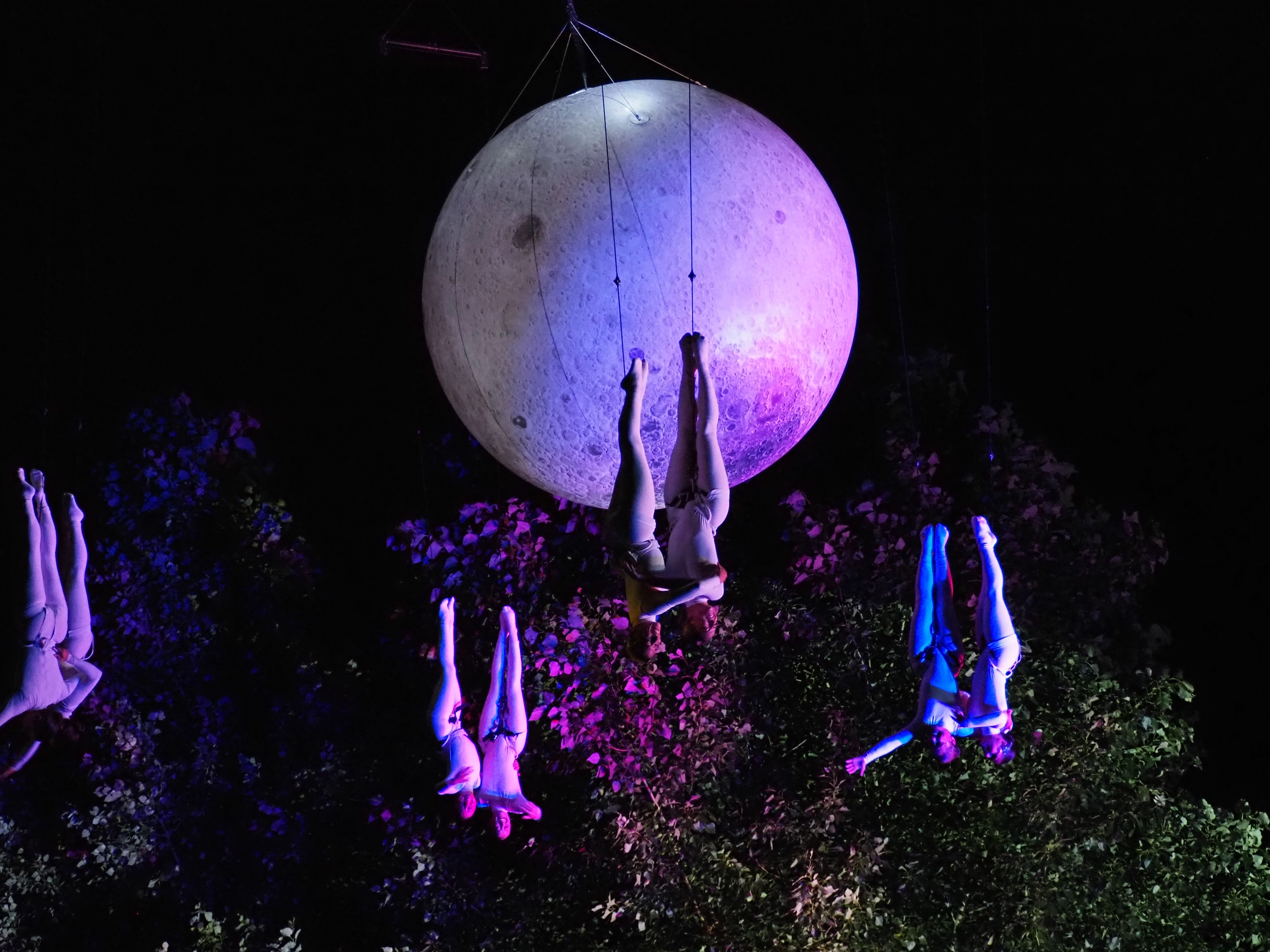Les acròbates de la dansa han mostrat diverses formes en l'aire.