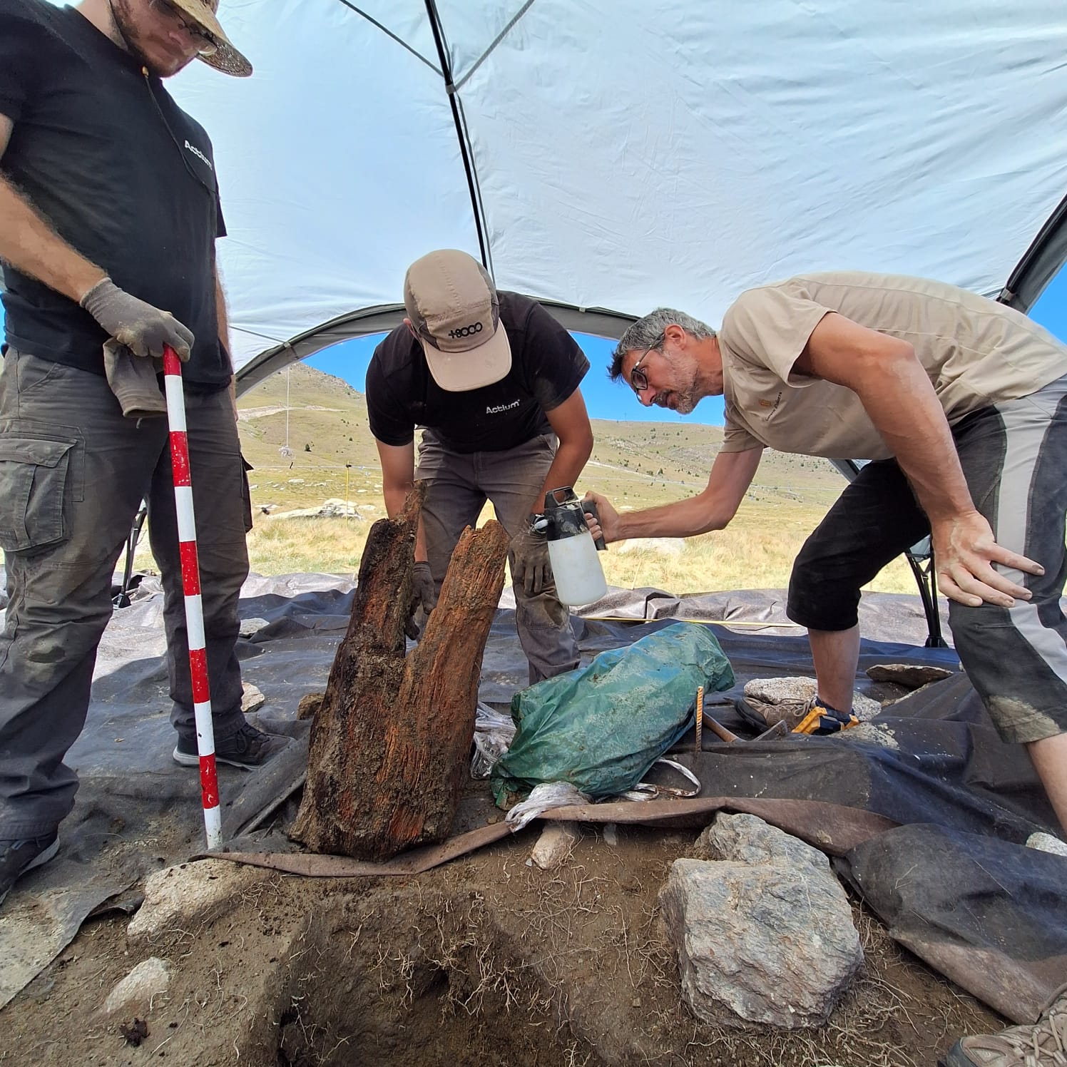 20250807 fusta túmul el Cubil 20250807 fusta túmul el Cubil