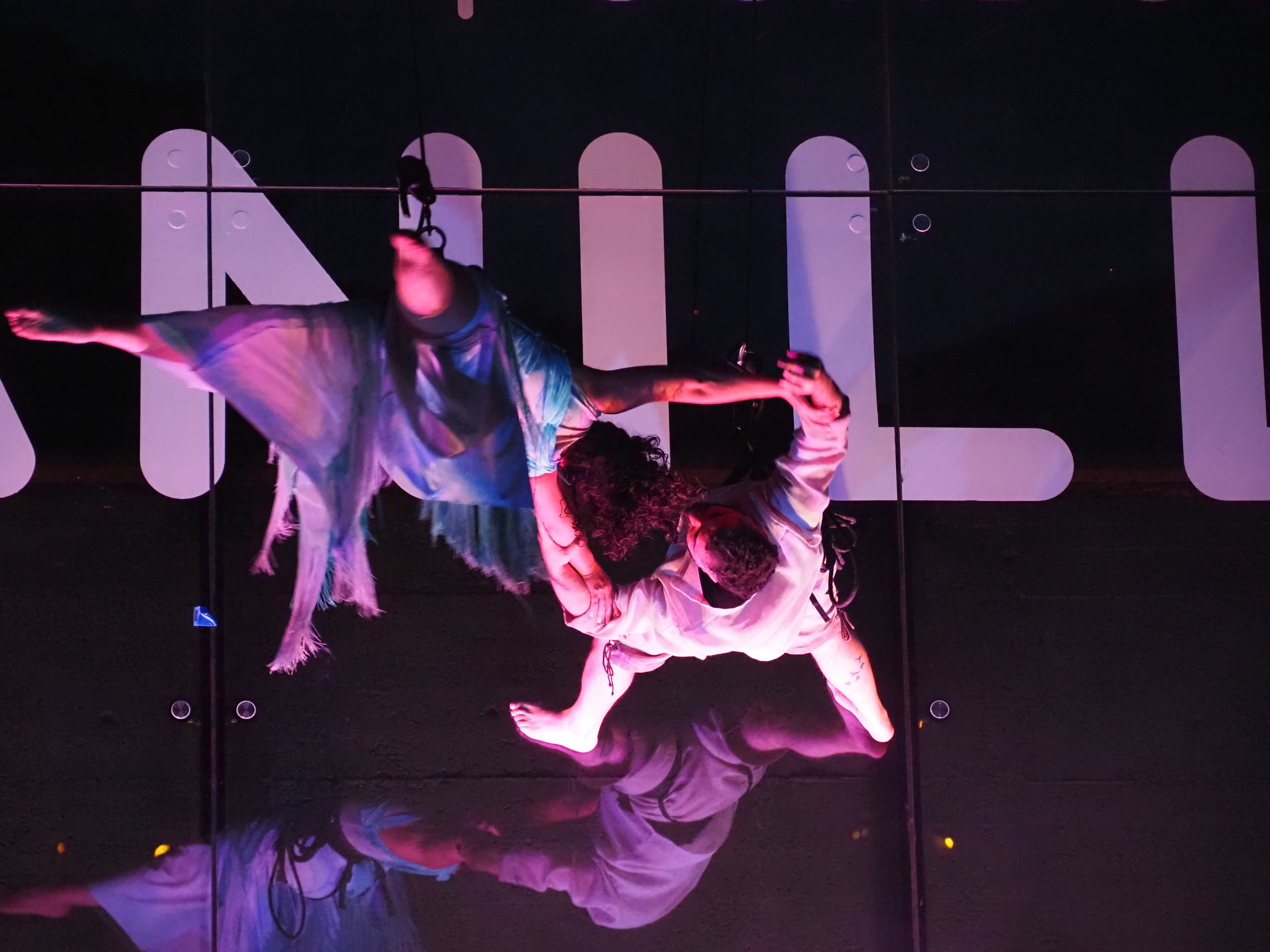 'Goja' ha proposat un viatge poètic i sensorial a través de la natura. 'Goja' ha proposat un viatge poètic i sensorial a través de la natura.