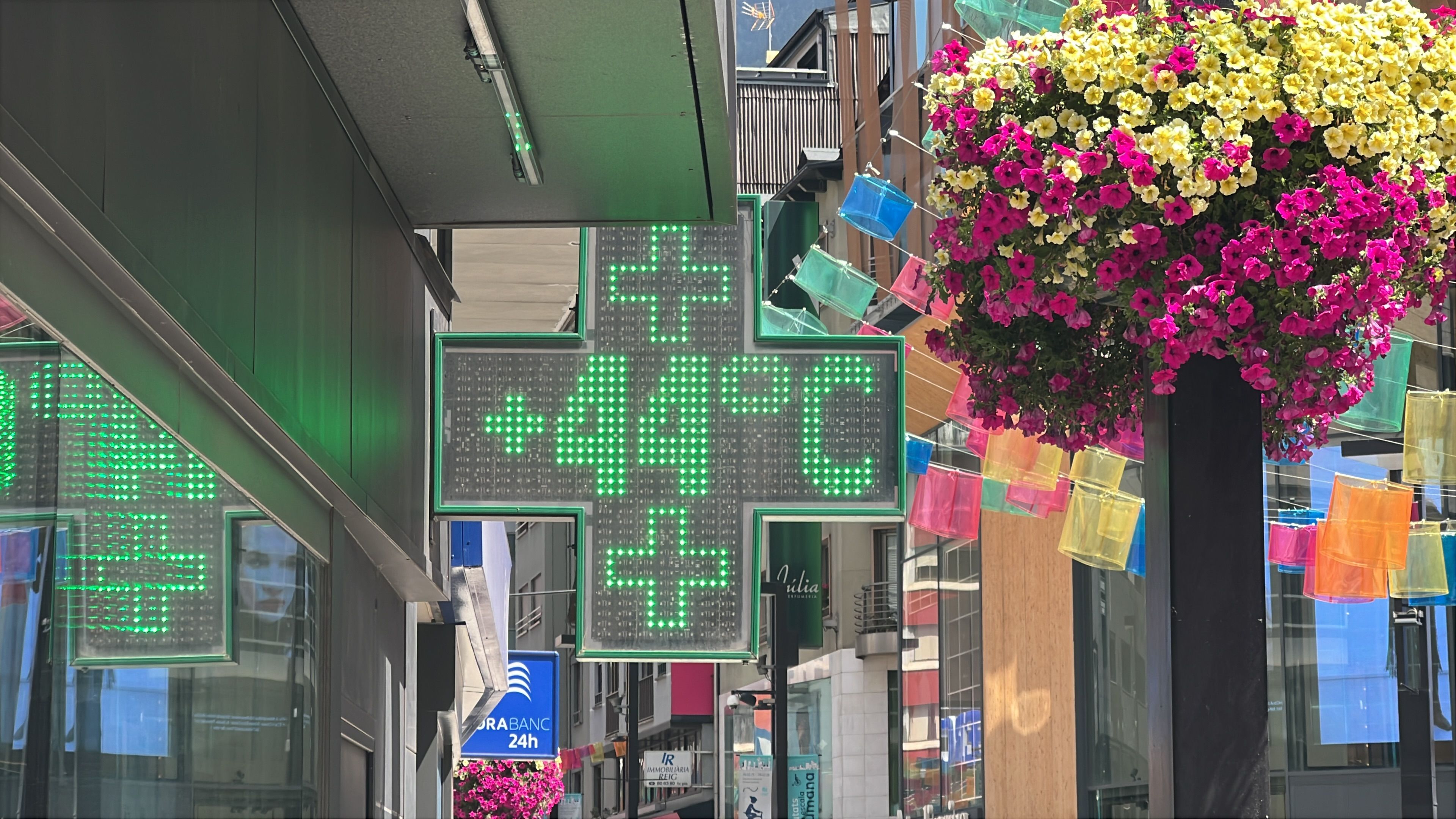 D7C79CB2 288A 4EC4 9DAD 8F335F42F1C6